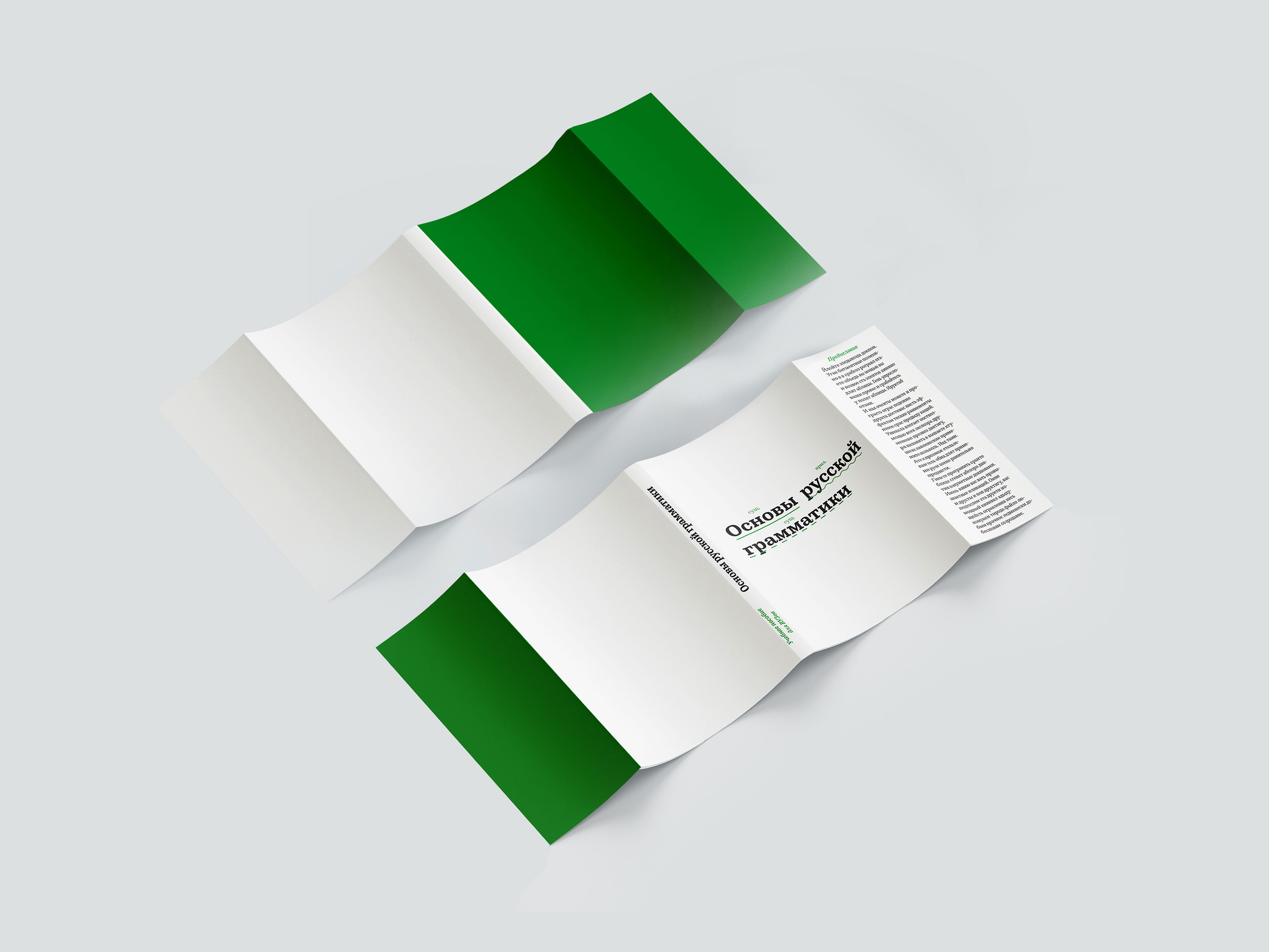 Серия книг для студентов-филологов — Изображение №5 — Графика на Dprofile