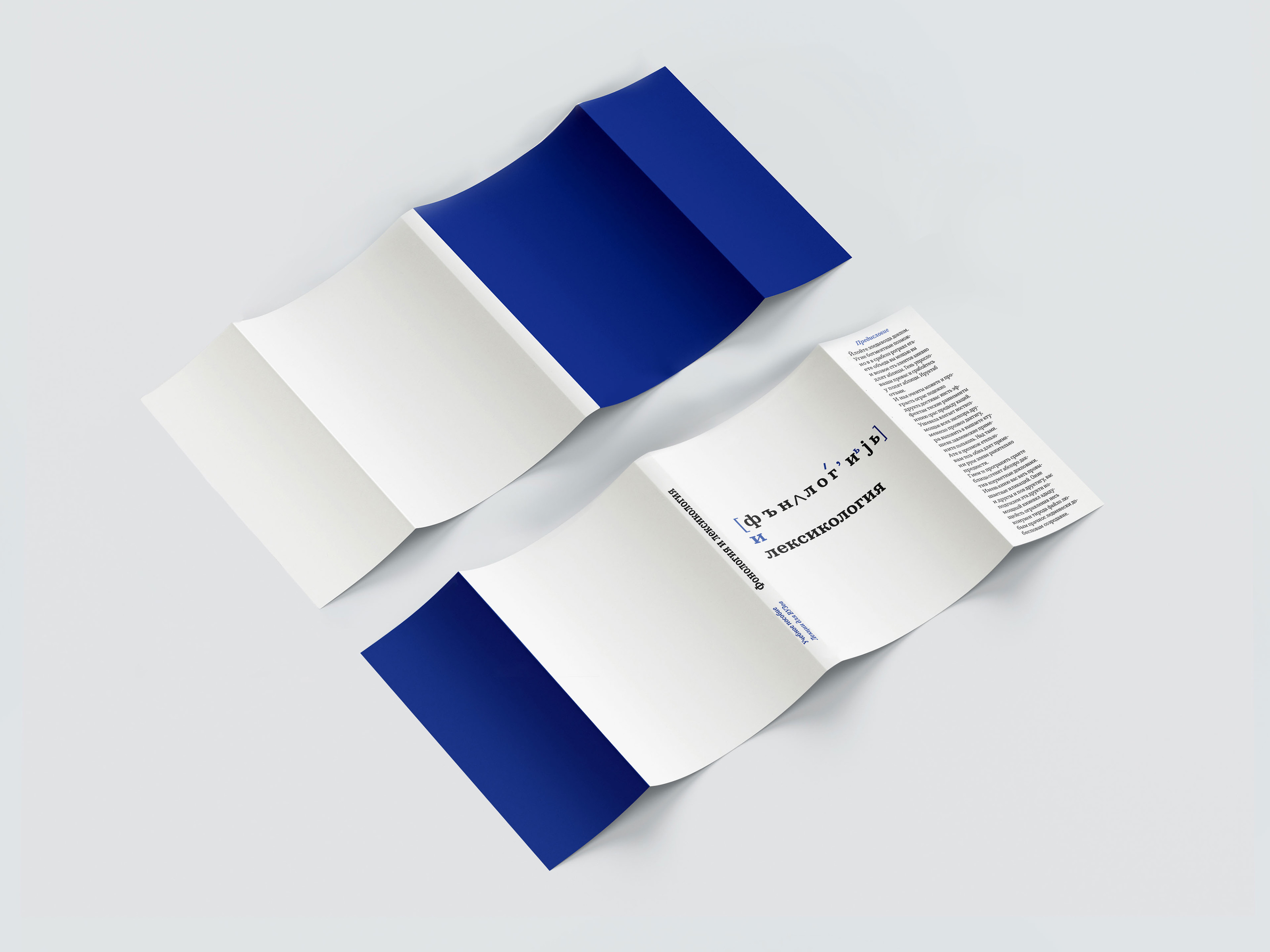 Серия книг для студентов-филологов — Изображение №3 — Графика на Dprofile