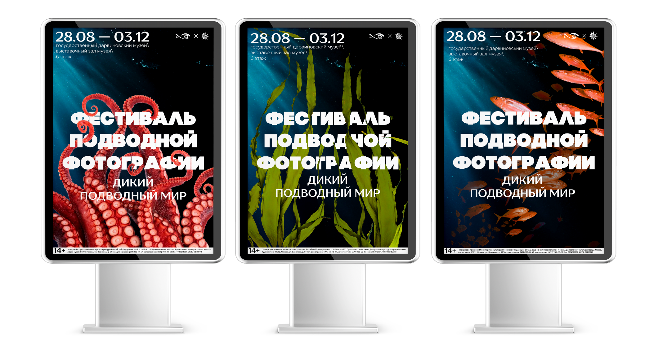 Комплекс виз. комм-ий для фестиваля подводной фотографии — Изображение №6 — Брендинг на Dprofile