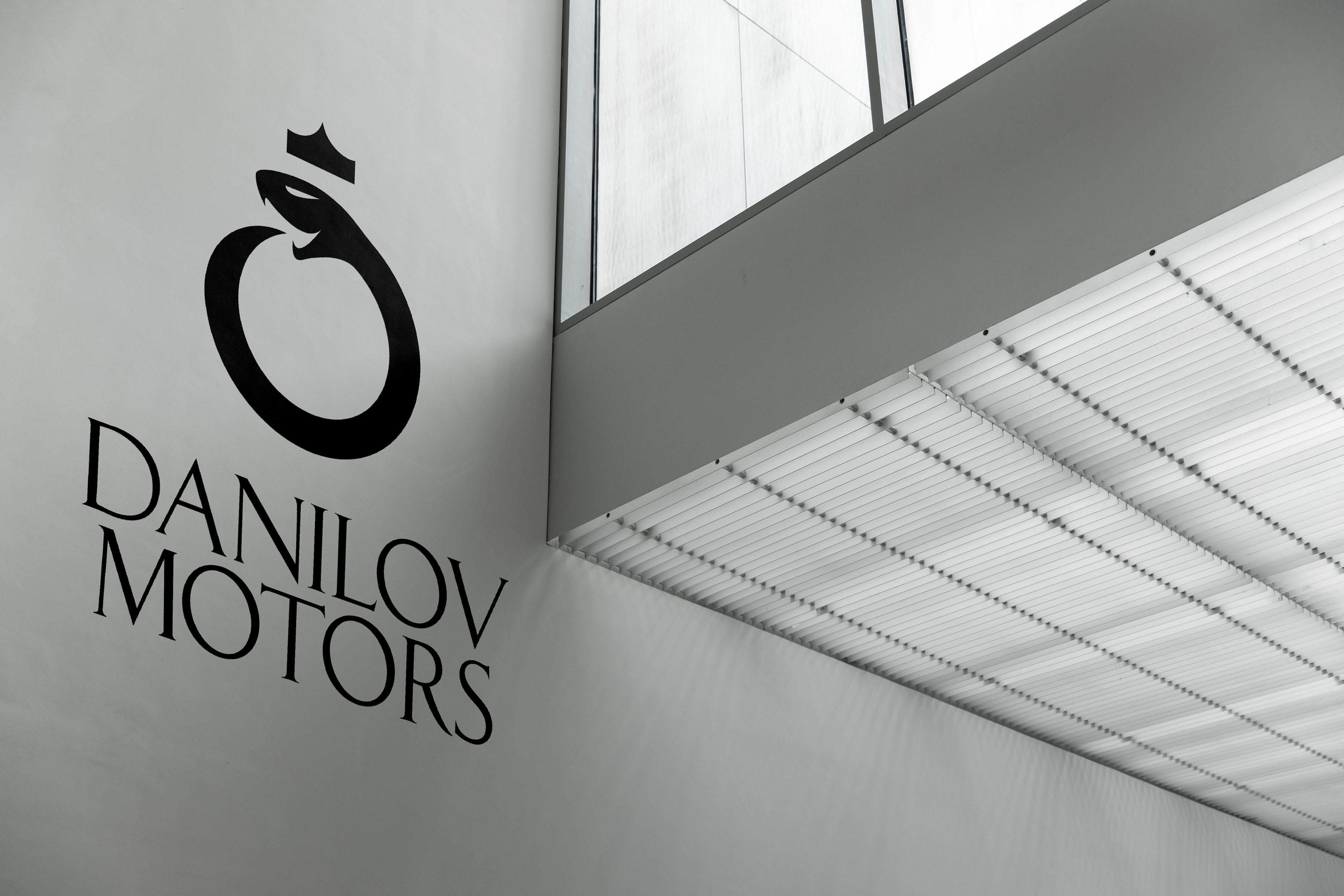 DANILOV MOTORS — Изображение №2 — Брендинг на Dprofile