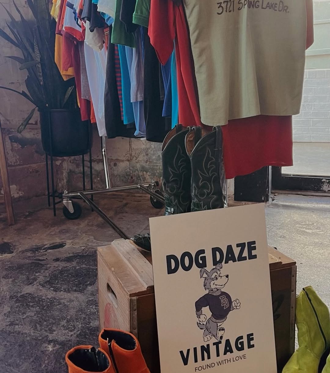 Логотип "Dog Daze" — Изображение №3 — Иллюстрация на Dprofile