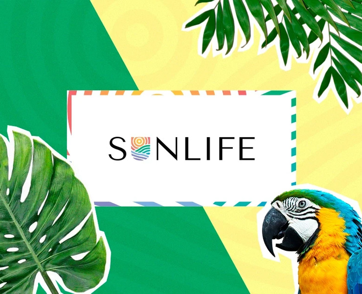 Sunlife | Разработка Брендбука | Brand Book — Брендинг, Маркетинг на Dprofile