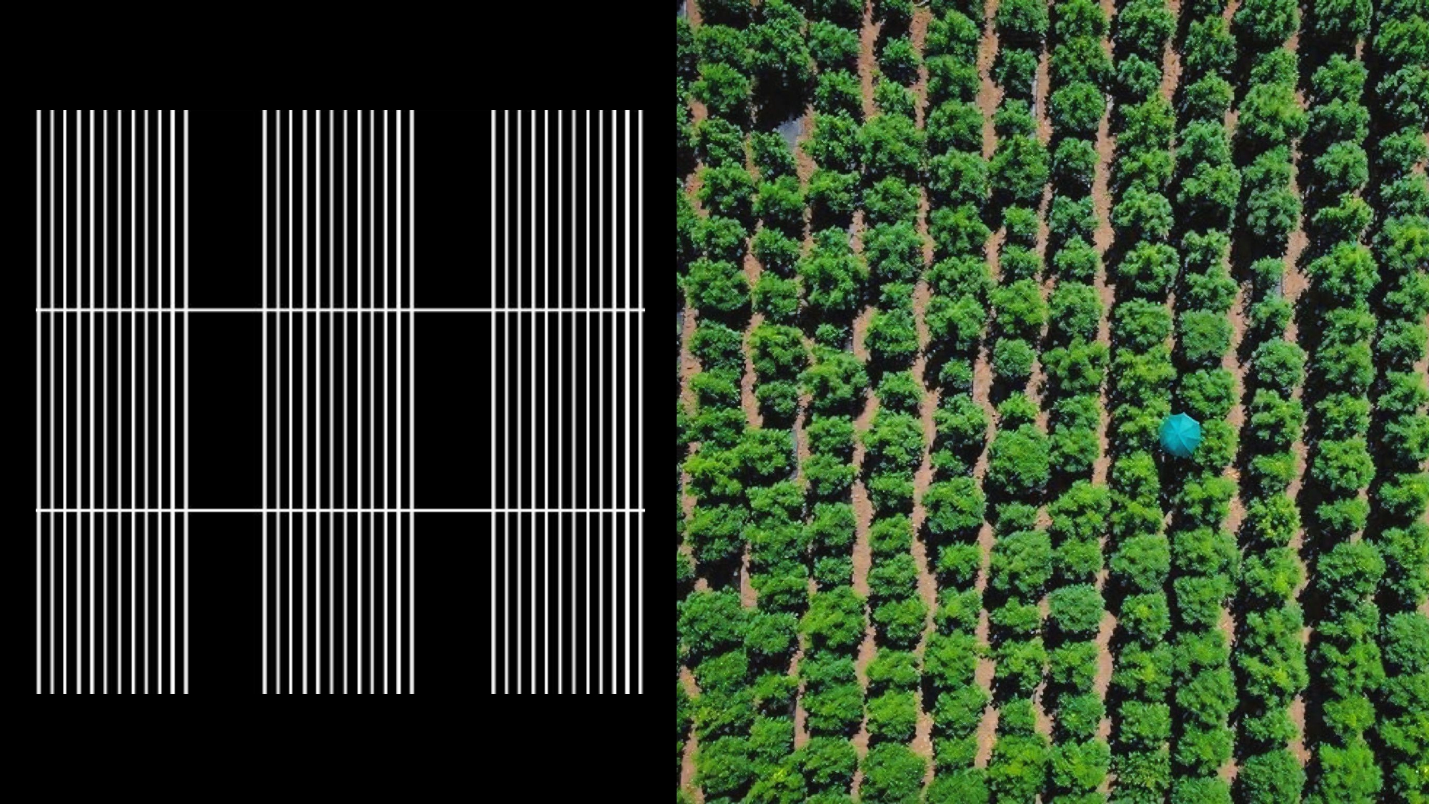 Графический комплекс для ежегодного конкурса натуральных — Изображение №3 — Брендинг на Dprofile