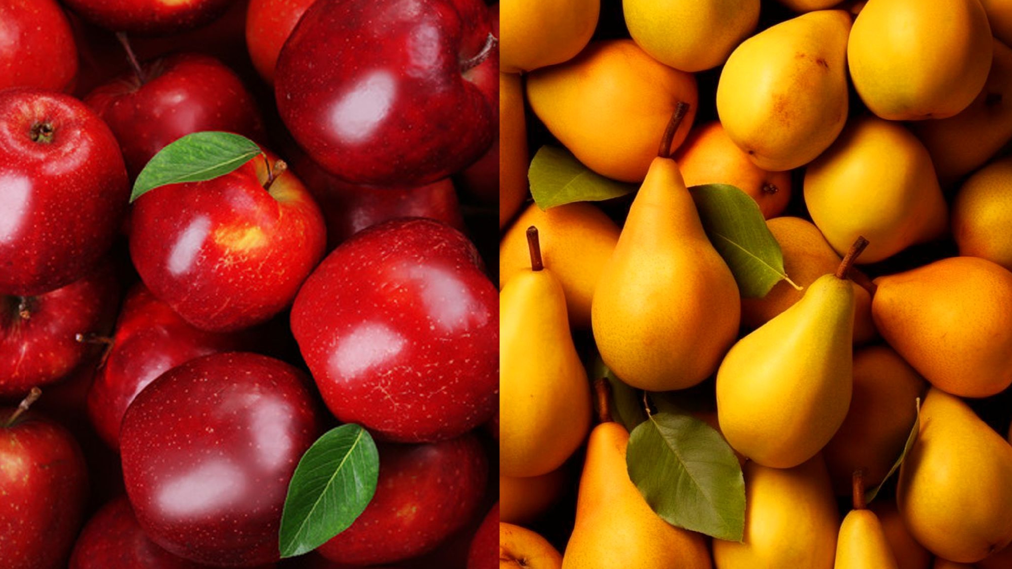 Графический комплекс для ежегодного конкурса натуральных — Изображение №1 — Брендинг на Dprofile