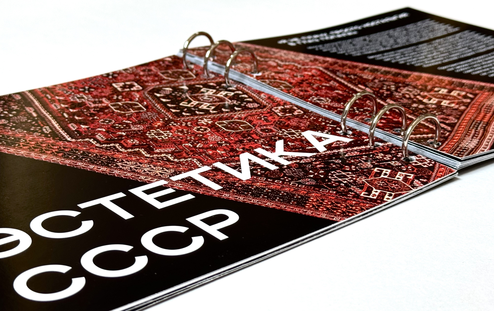 Брошюра "Панельки как отражение России" — Изображение №6 — Графика на Dprofile