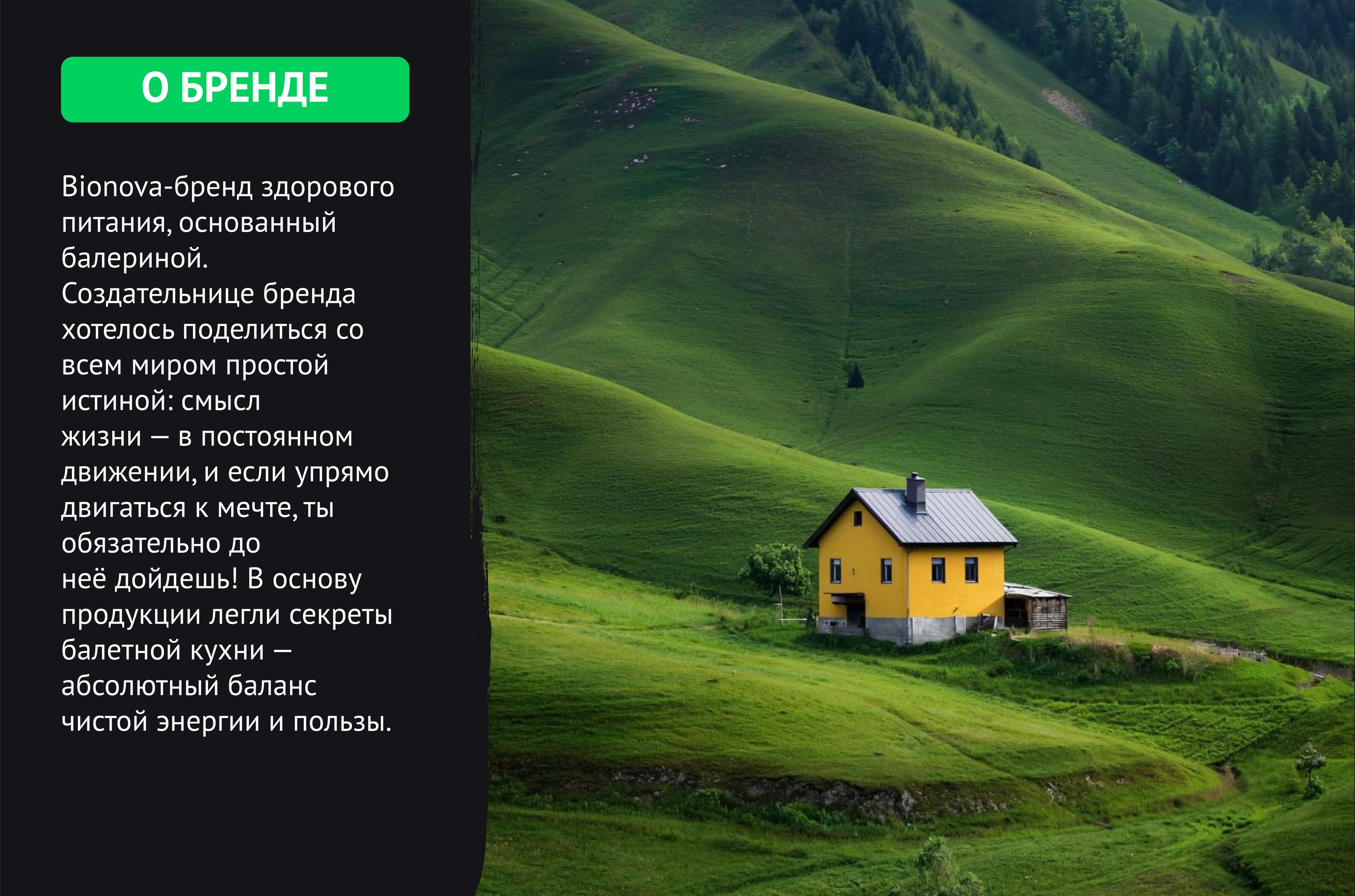 Bionova-бренд здорового питания — Изображение №2 — Интерфейсы, Брендинг на Dprofile