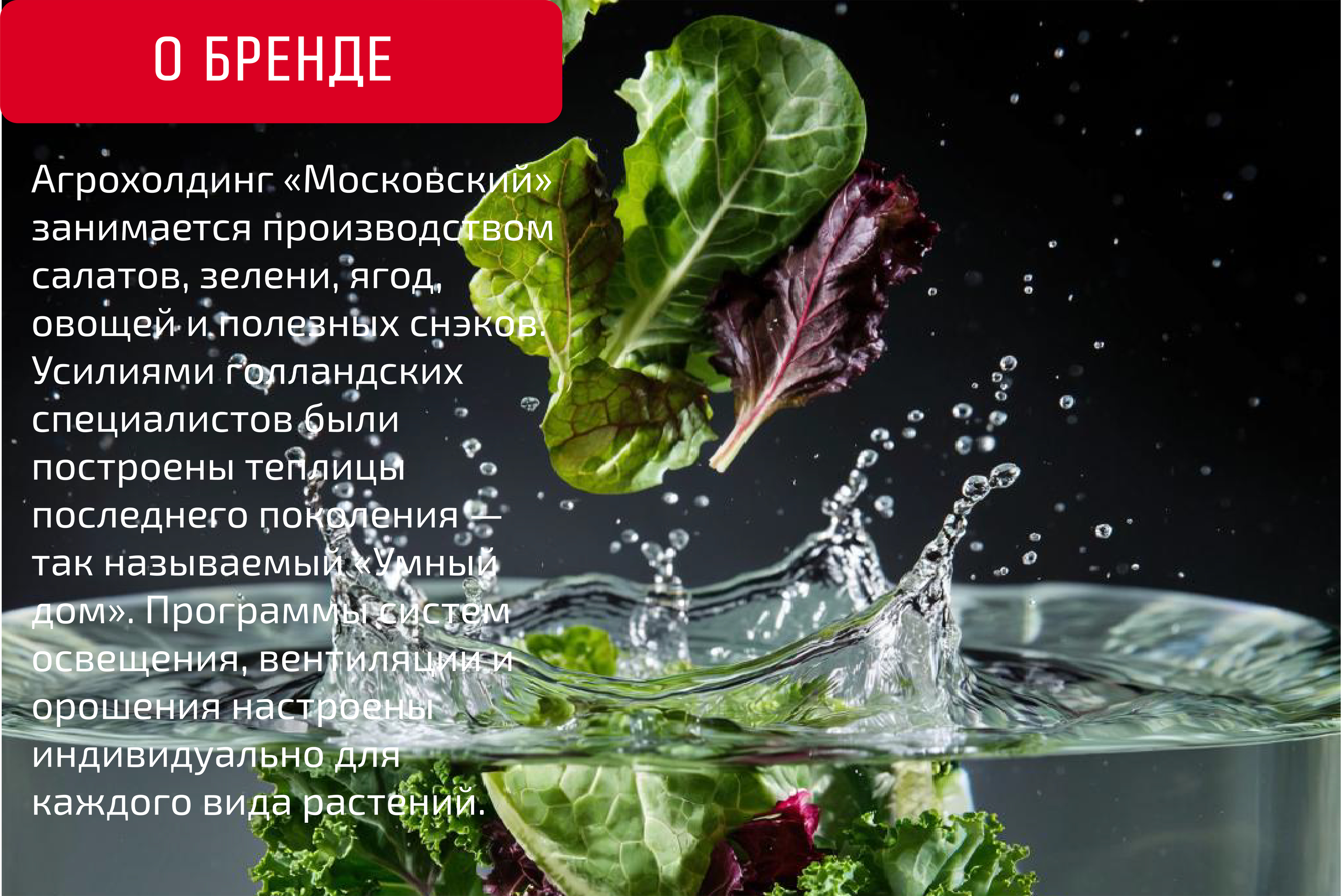 Дизайн упаковки "Агрохолдинг Московский" — Изображение №2 — Интерфейсы, Брендинг на Dprofile