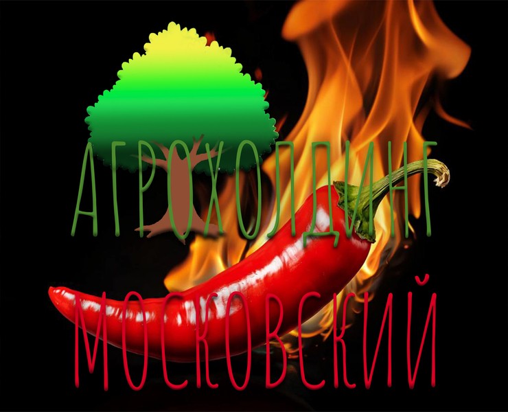 Дизайн упаковки "Агрохолдинг Московский" на Dprofile