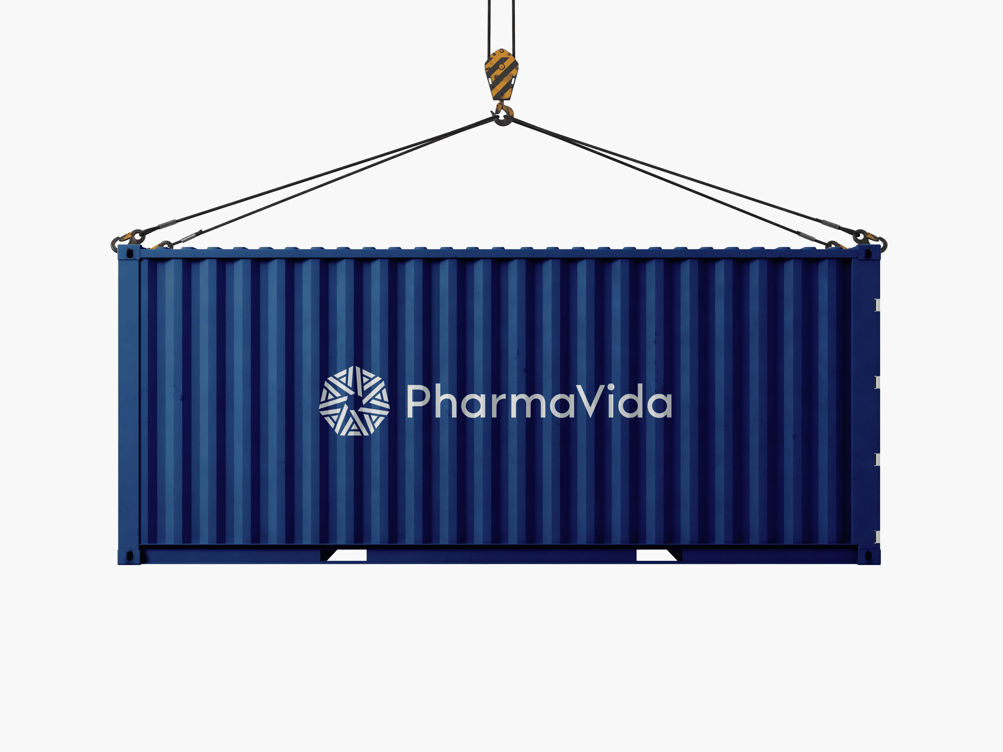 PharmaVida | Медицинские поставки — Изображение №10 — Брендинг на Dprofile