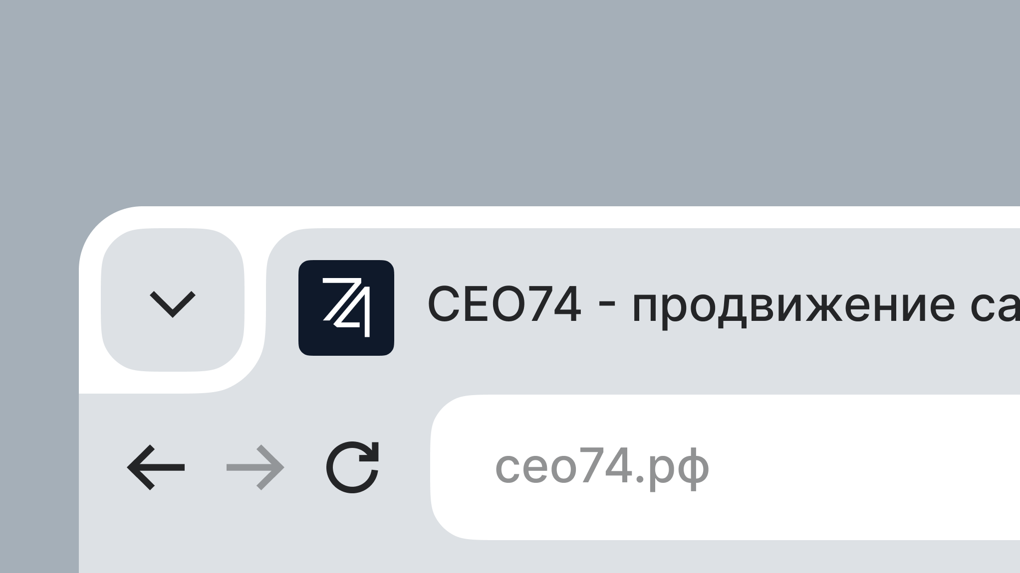 СЕО74 | СЕО агенство — Изображение №6 — Брендинг на Dprofile