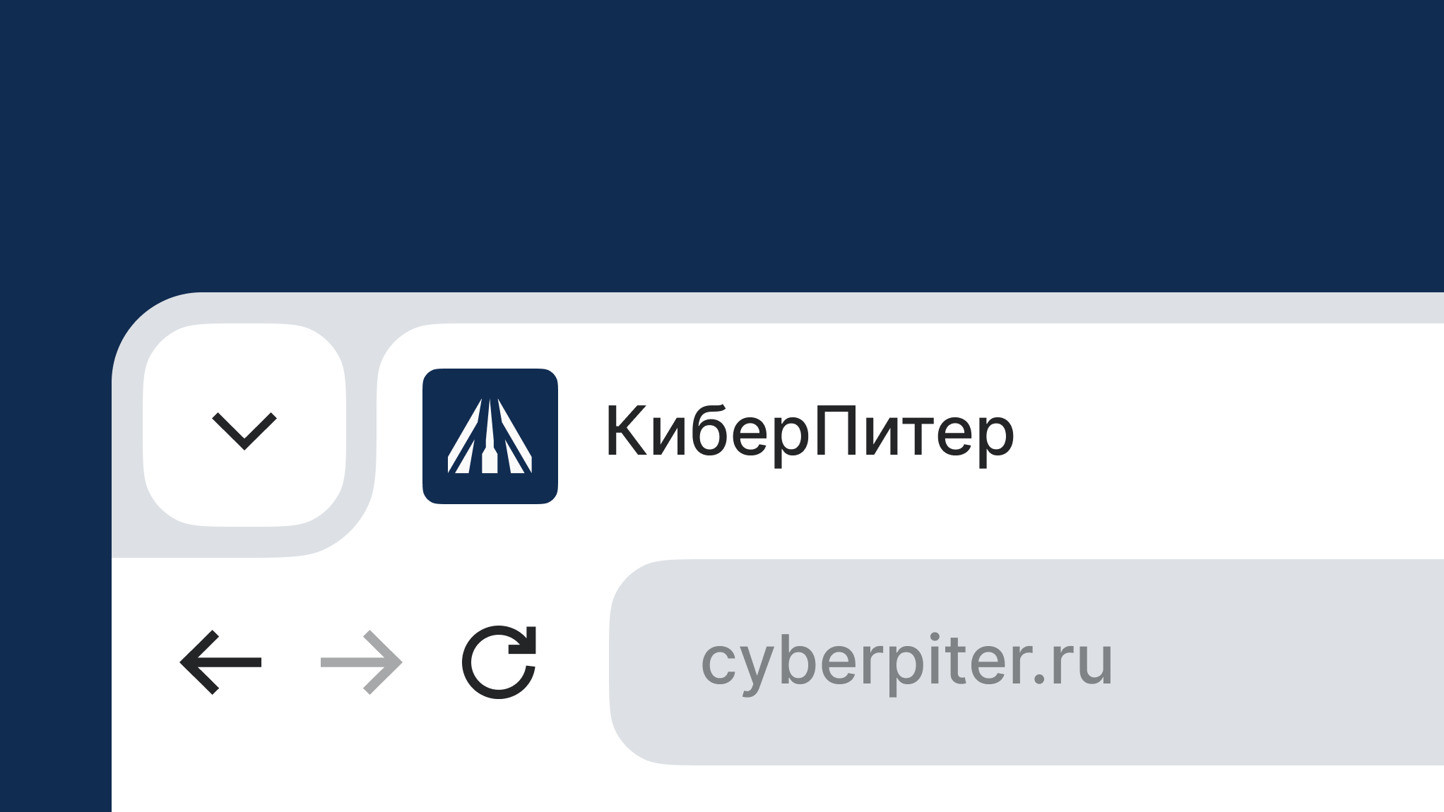 КиберПитер | Онлайн-платформа для киберспортсменов — Изображение №15 — Брендинг на Dprofile