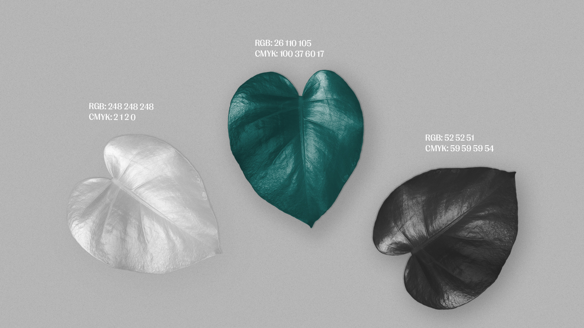 Botanical Garden Rebranding Concept — Изображение №4 — Брендинг на Dprofile