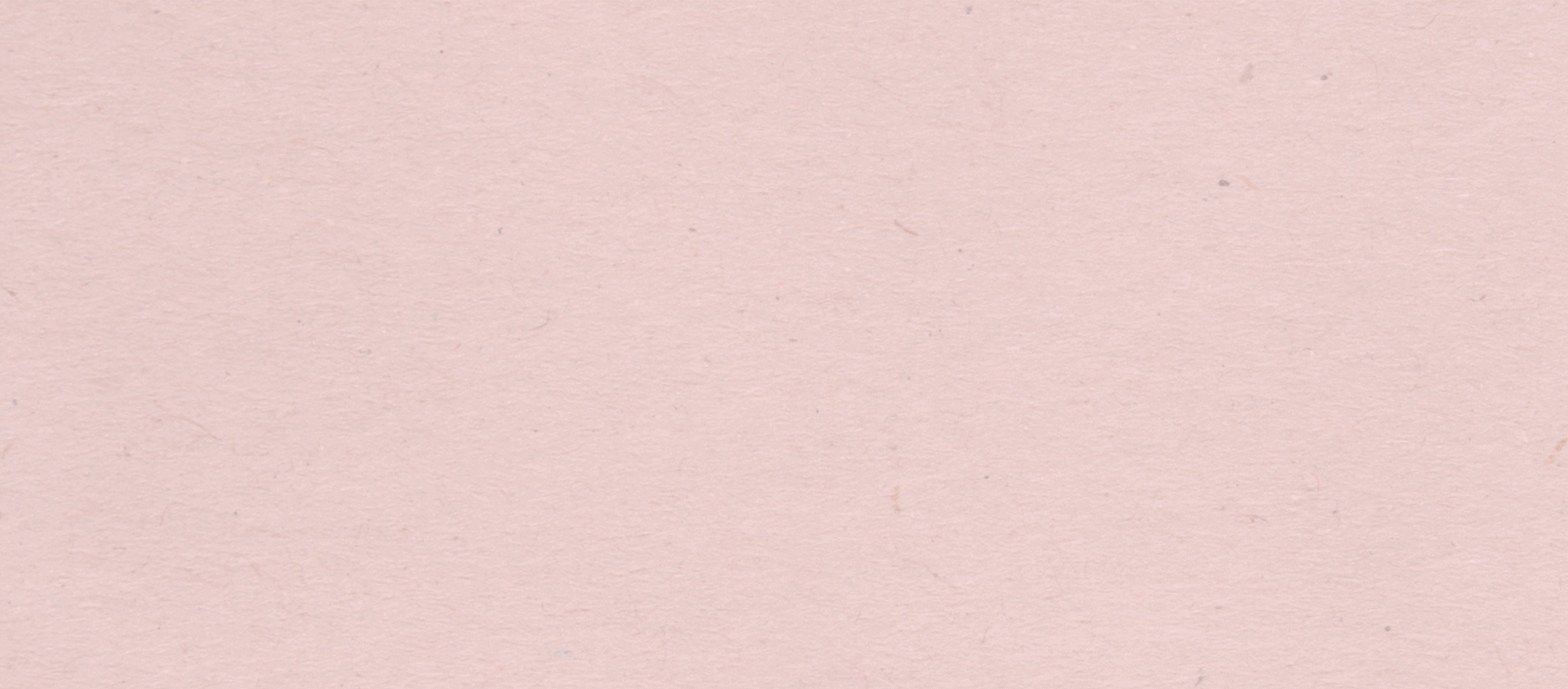 WǓ SHÙ | chinese dumpling noodle bar identity — Изображение №3 — Брендинг, Иллюстрация на Dprofile