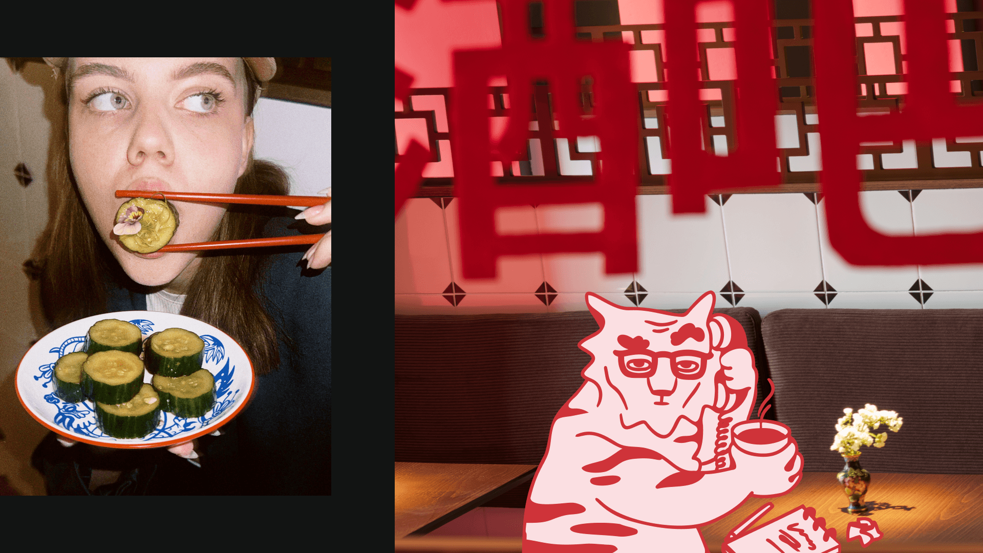 WǓ SHÙ | chinese dumpling noodle bar identity — Изображение №15 — Брендинг, Иллюстрация на Dprofile