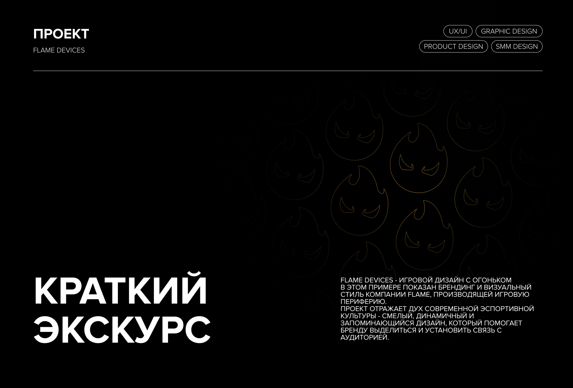Flame - Фирменный стиль для бренда игровой периферии — Изображение №1 — Брендинг, Графика на Dprofile