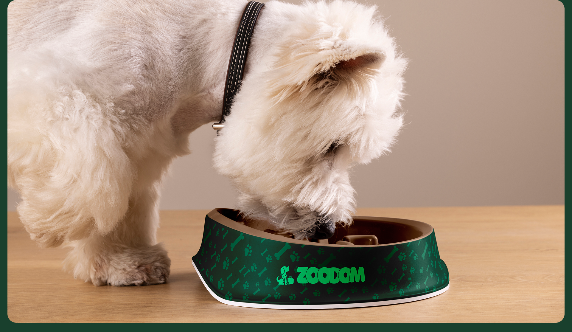 Сorporate website "Overexposure of pets" — Изображение №13 — Интерфейсы, Брендинг на Dprofile