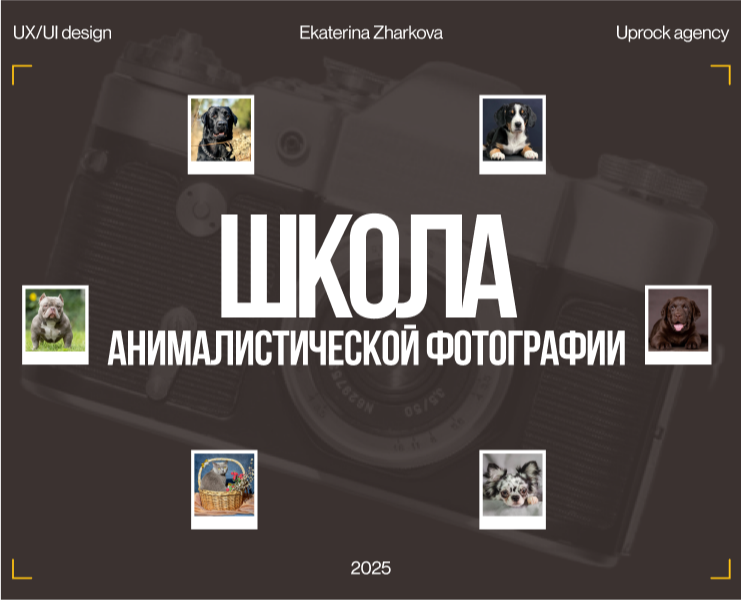 "Школа анималистической фотографии" — Интерфейсы, Брендинг на Dprofile