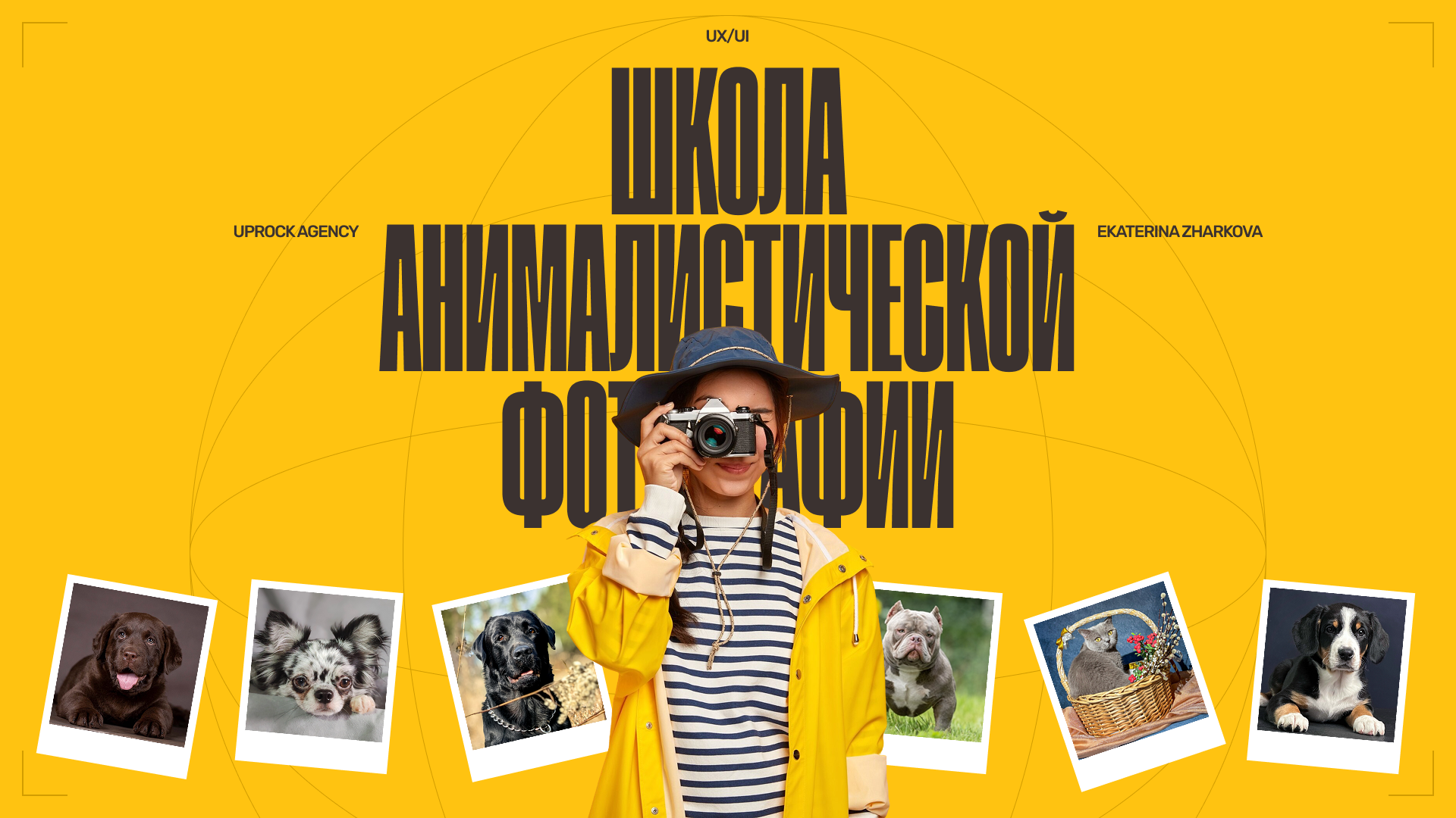 "Школа анималистической фотографии" — Изображение №1 — Интерфейсы, Брендинг на Dprofile