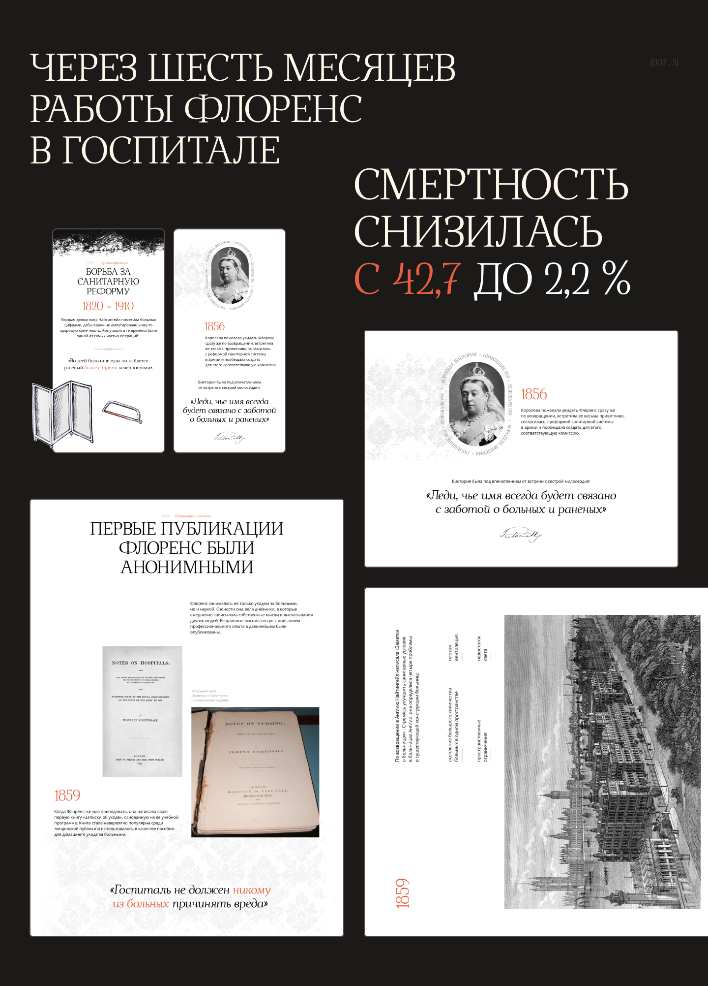 Флоренс Найтингейл - Леди с лампой — Изображение №11 — Интерфейсы, Графика на Dprofile