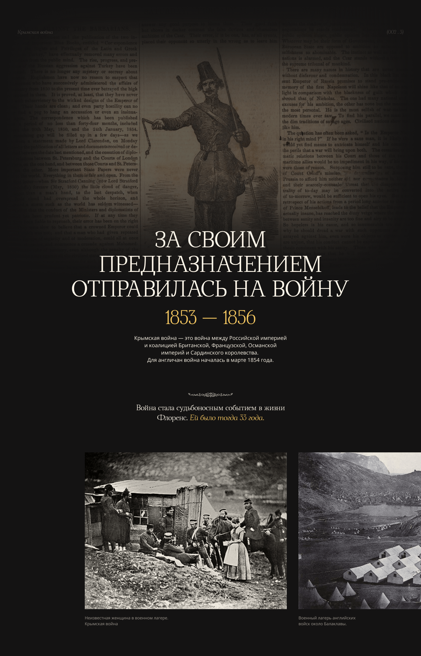 Флоренс Найтингейл - Леди с лампой — Изображение №8 — Интерфейсы, Графика на Dprofile