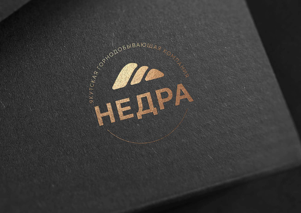 Брендбук для Недра, Якутской горнодобывающей компании — Изображение №8 — Брендинг, Иллюстрация на Dprofile