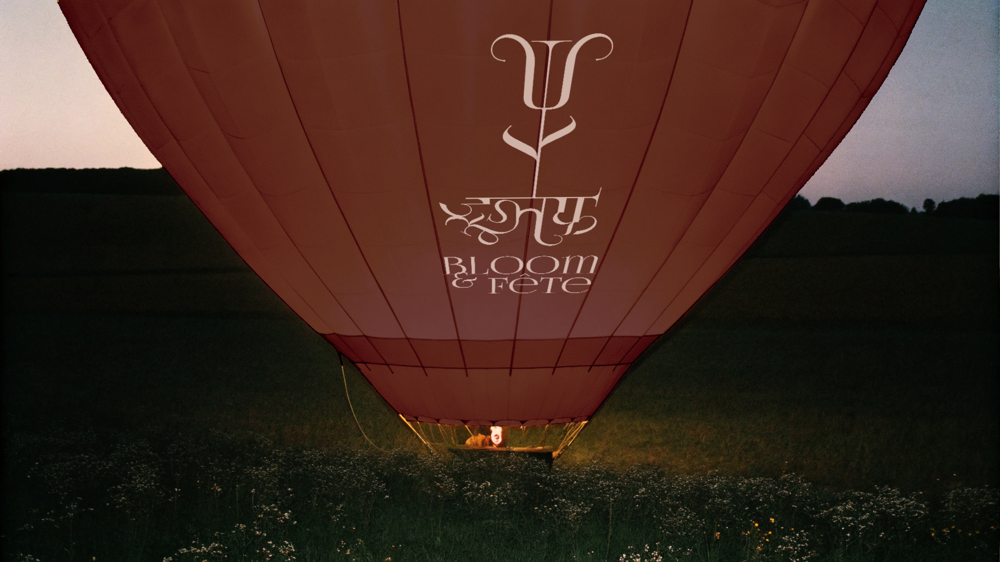 Bloom & Fete — Изображение №11 — Брендинг на Dprofile