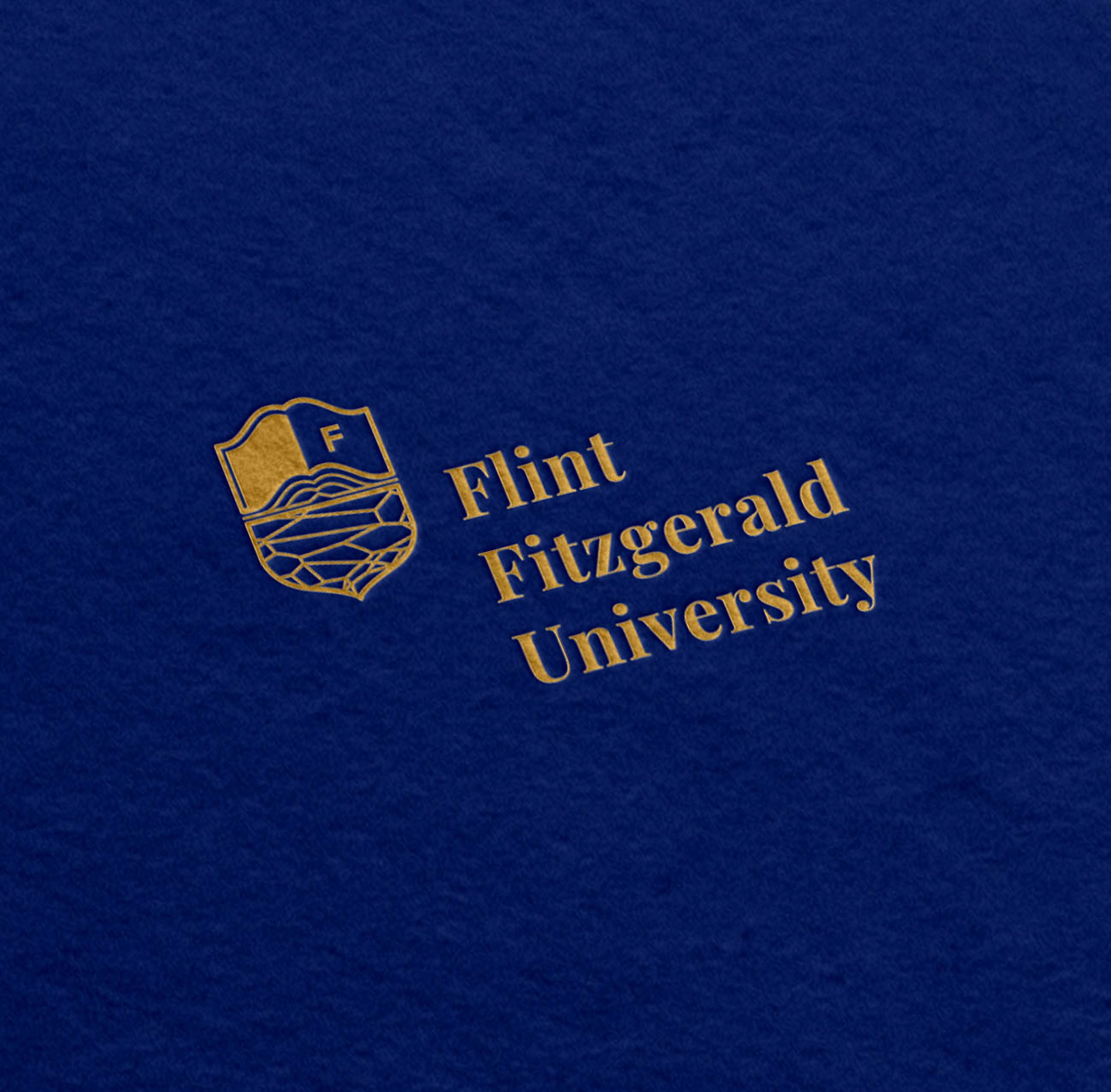 Фирменный стиль университета - ZAMEDIA — Изображение №2 — Брендинг на Dprofile