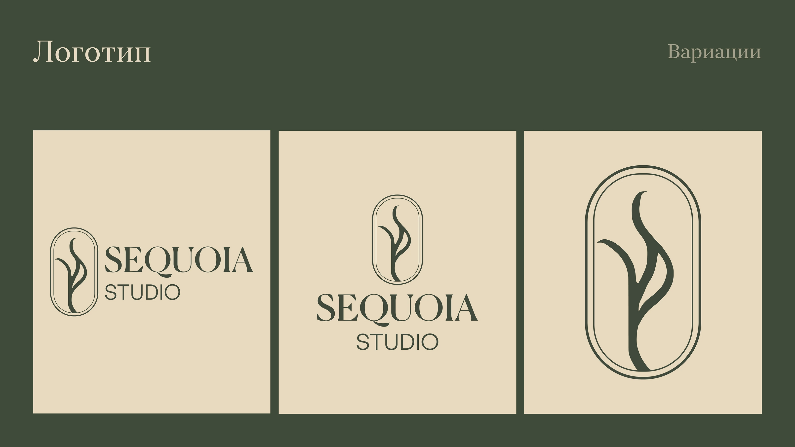 Разработка фирменного стиля для «Sequoia studio» — Изображение №6 — Брендинг на Dprofile