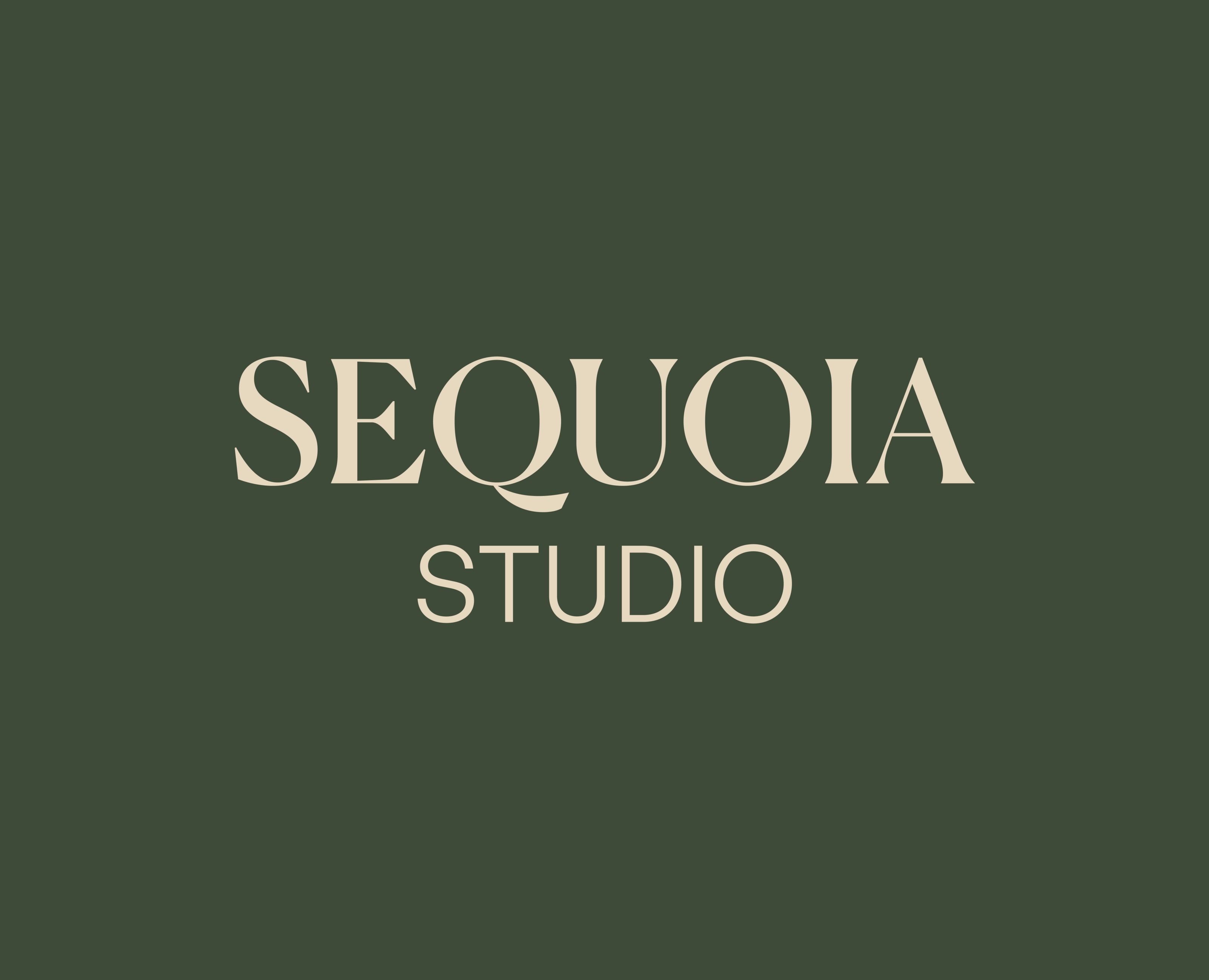 Разработка фирменного стиля для «Sequoia studio» — Брендинг на Dprofile