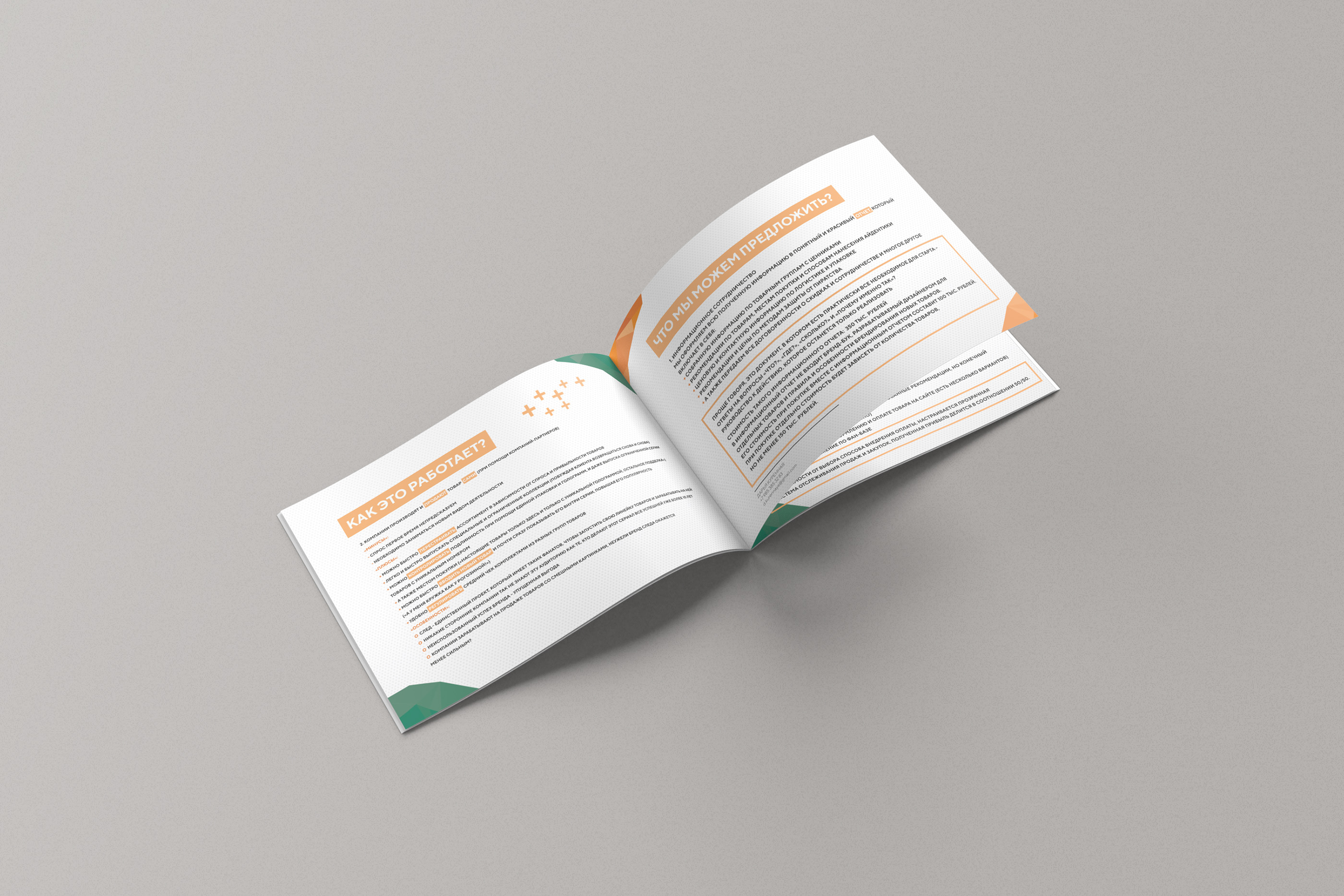 Брошюра для Conversium — Изображение №4 — Брендинг, Графика на Dprofile