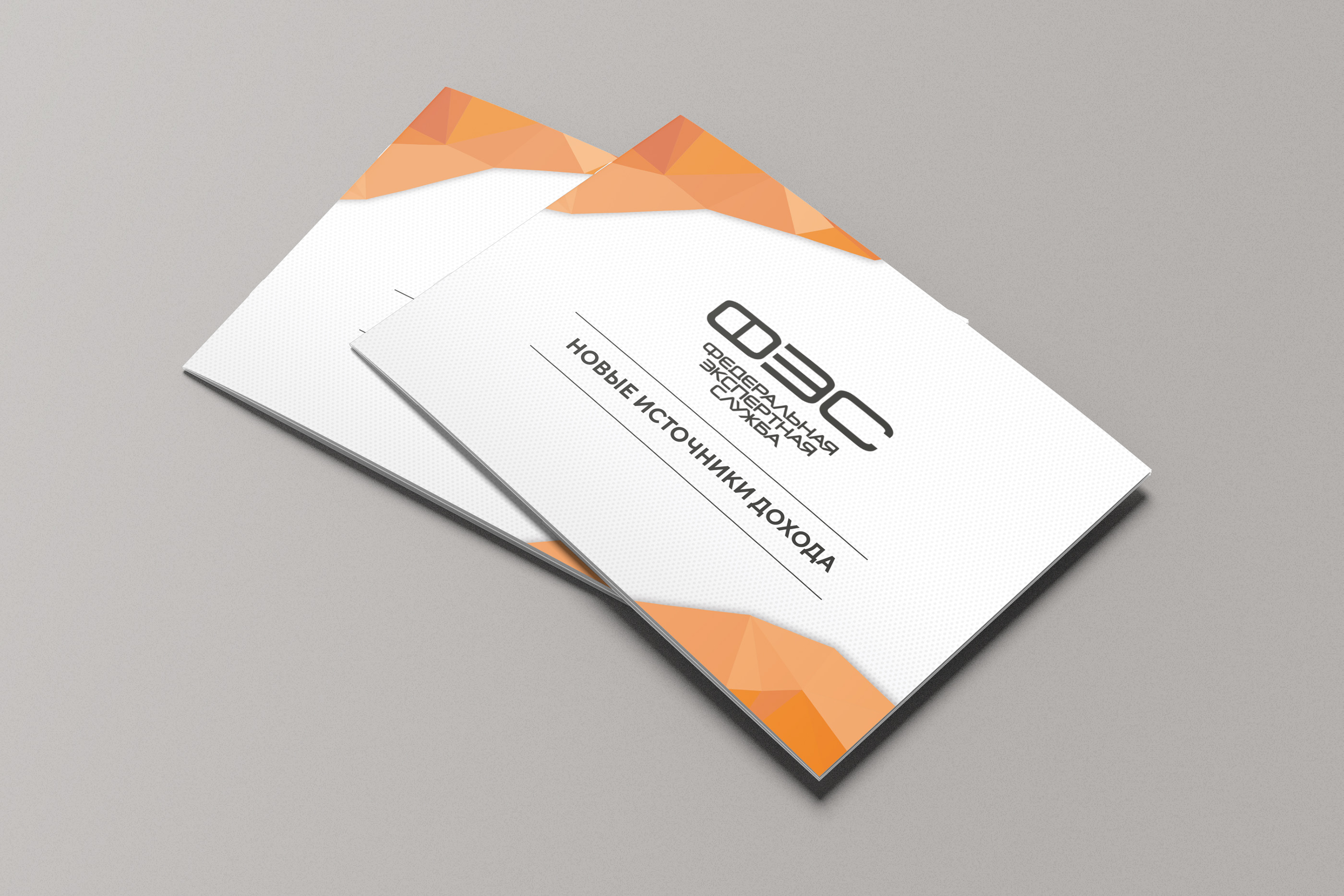 Брошюра для Conversium — Изображение №1 — Брендинг, Графика на Dprofile