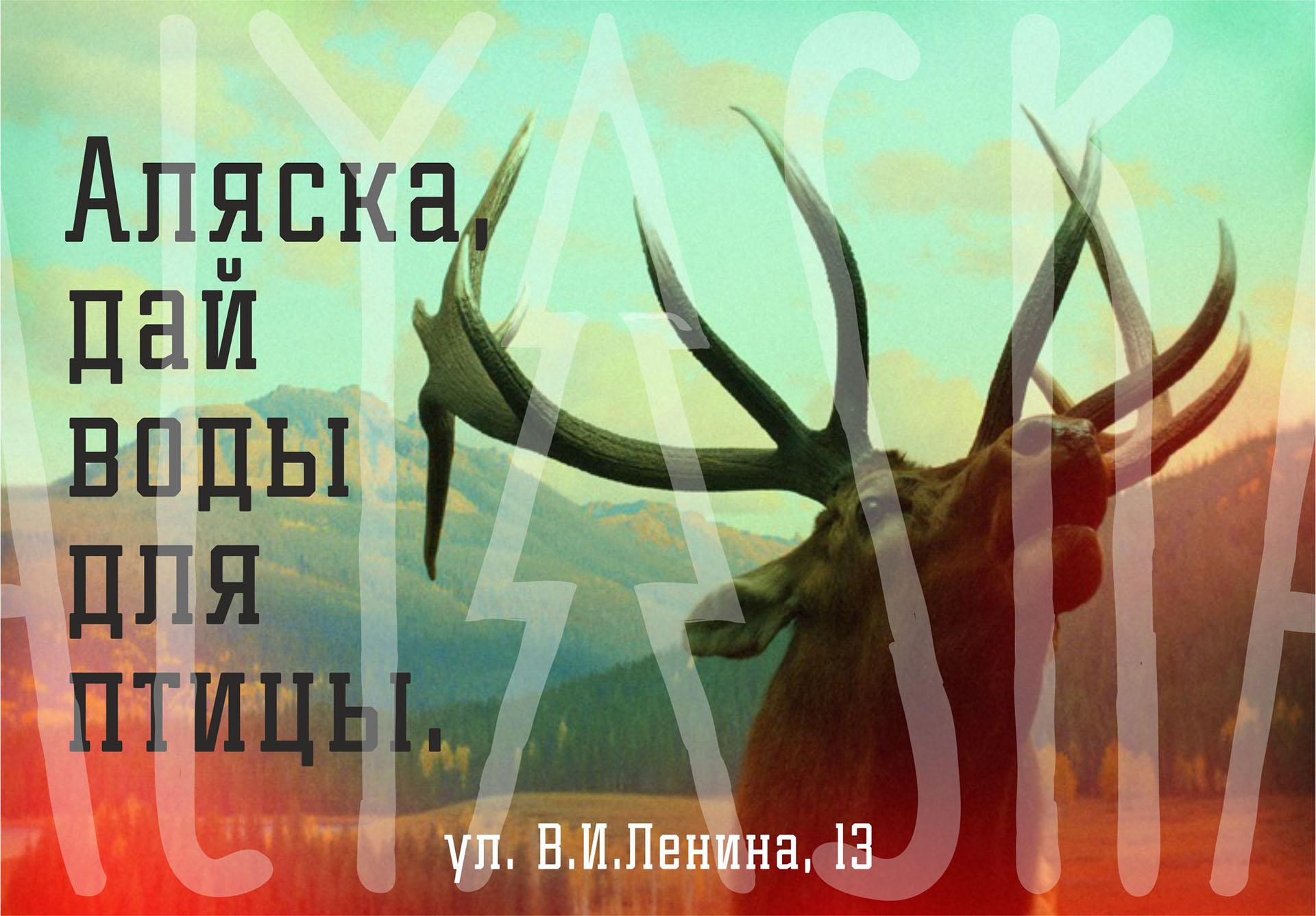 ALYASKA BAR — Изображение №3 — Брендинг, Иллюстрация на Dprofile