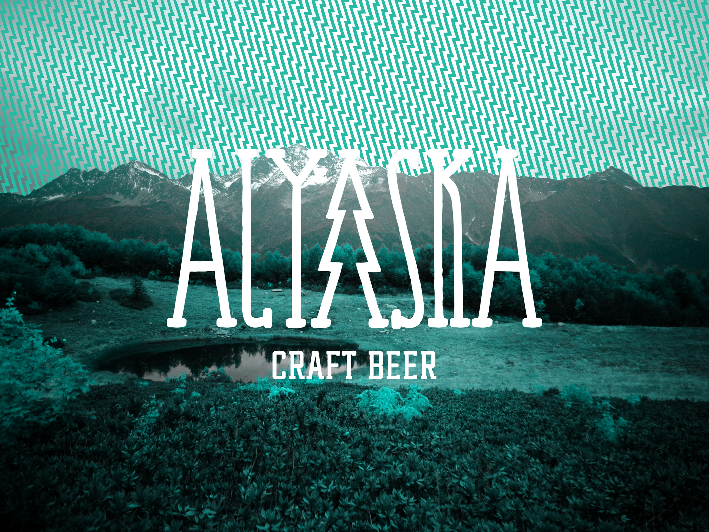 ALYASKA BAR — Изображение №2 — Брендинг, Иллюстрация на Dprofile