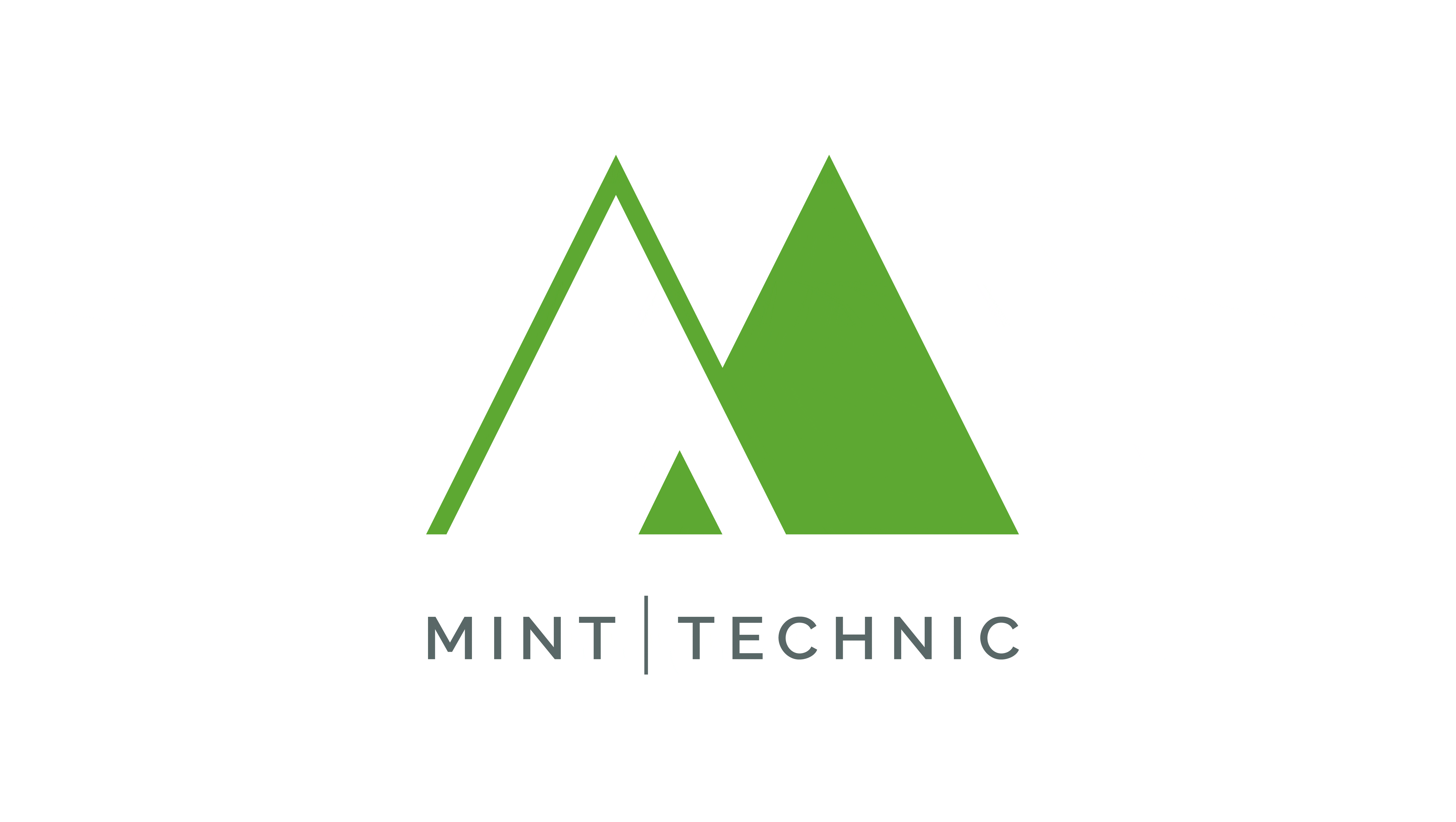 Минималистичный логотип для бренда портативной техники MINT — Изображение №2 — Брендинг, Графика на Dprofile