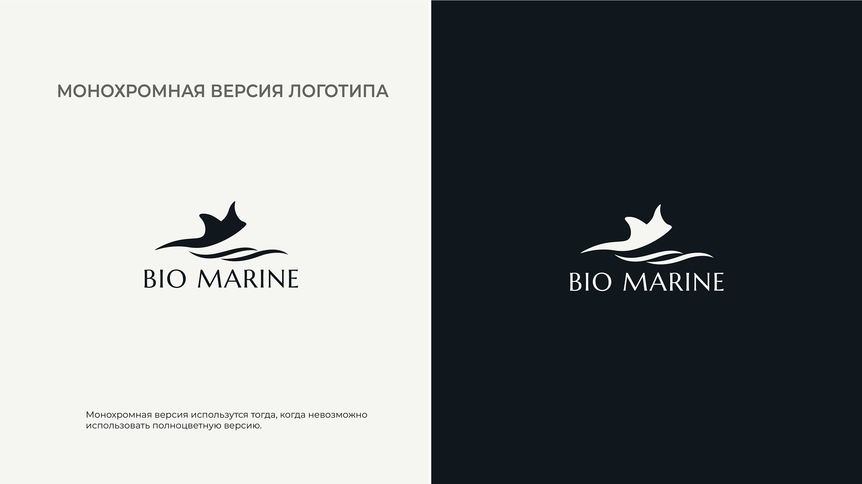 Фирменный стиль бренда косметики Bio Marine — Изображение №4 — Брендинг, Графика на Dprofile