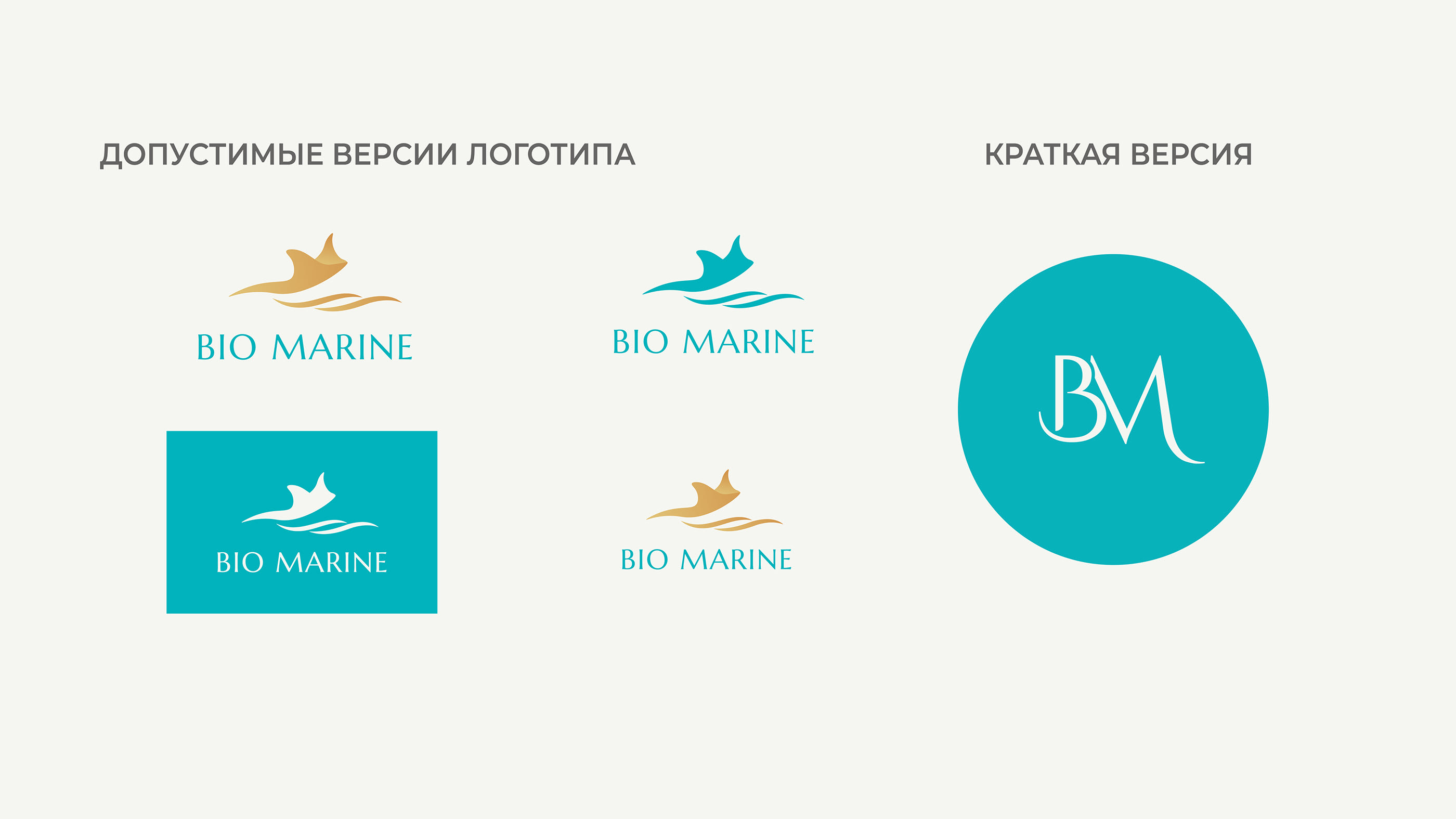 Фирменный стиль бренда косметики Bio Marine — Изображение №5 — Брендинг, Графика на Dprofile