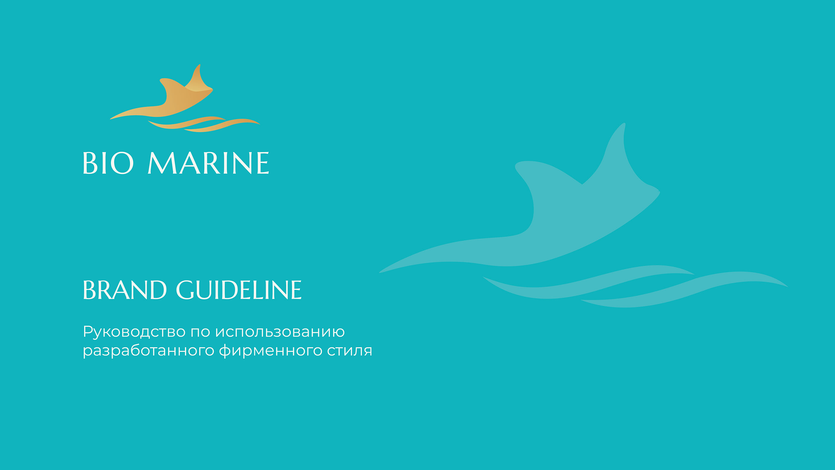 Фирменный стиль бренда косметики Bio Marine — Изображение №20 — Брендинг, Графика на Dprofile