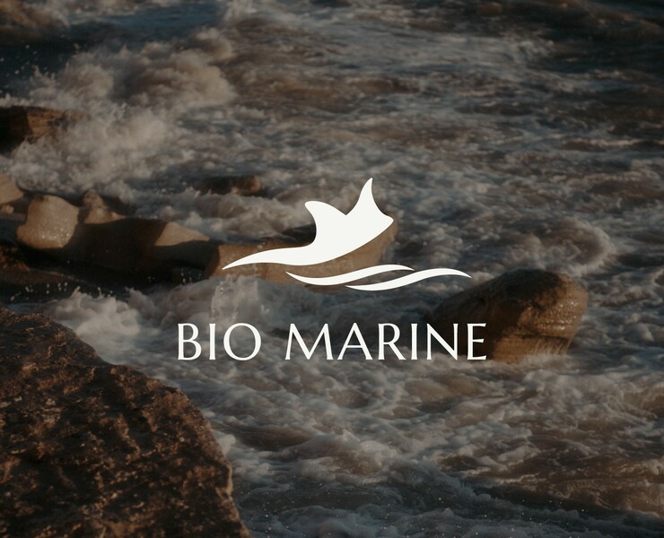 Фирменный стиль бренда косметики Bio Marine — Брендинг, Графика на Dprofile