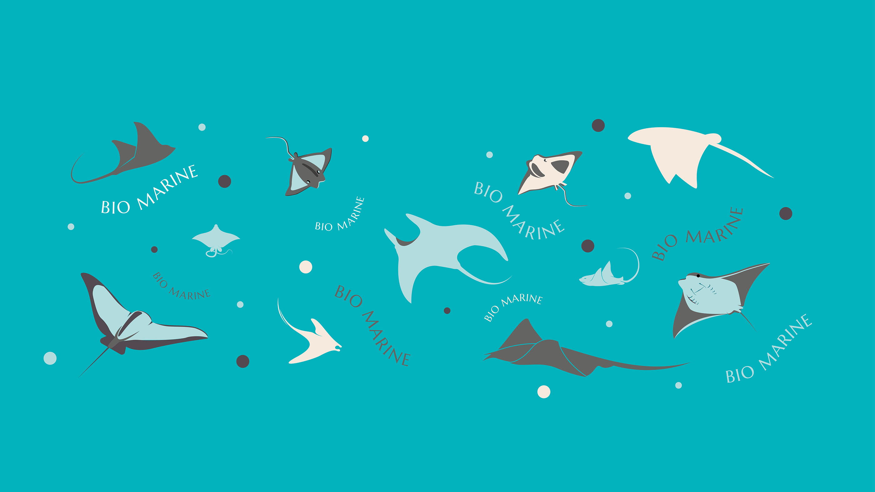 Фирменный стиль бренда косметики Bio Marine — Изображение №17 — Брендинг, Графика на Dprofile