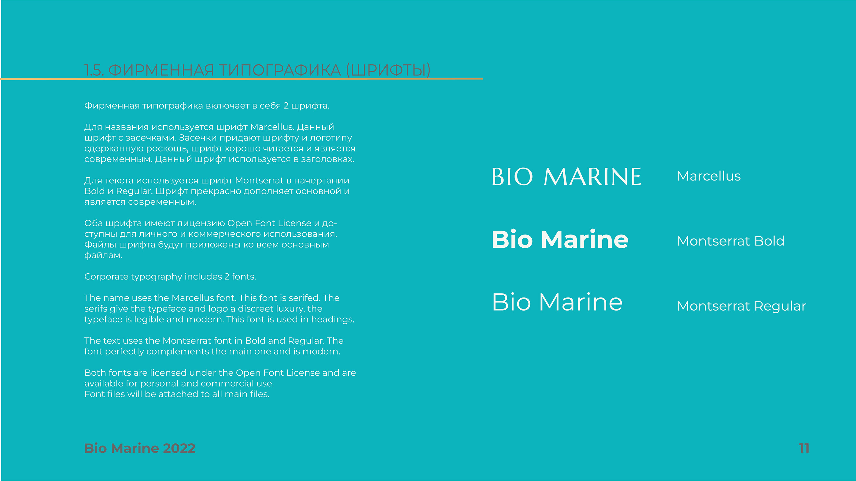 Фирменный стиль бренда косметики Bio Marine — Изображение №30 — Брендинг, Графика на Dprofile