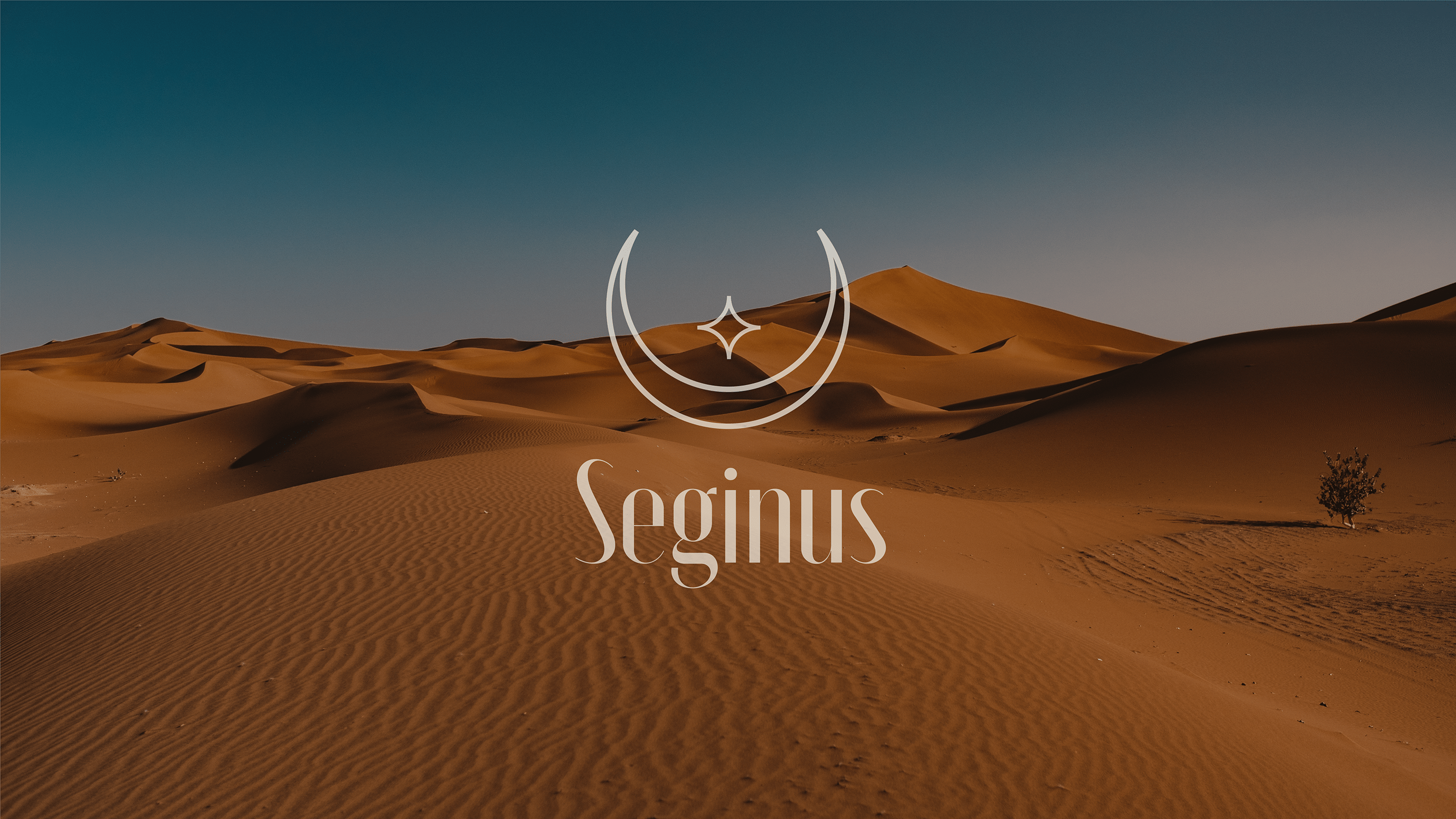Logo and packaging for the cosmetic brand — Изображение №3 — Брендинг, Маркетинг на Dprofile