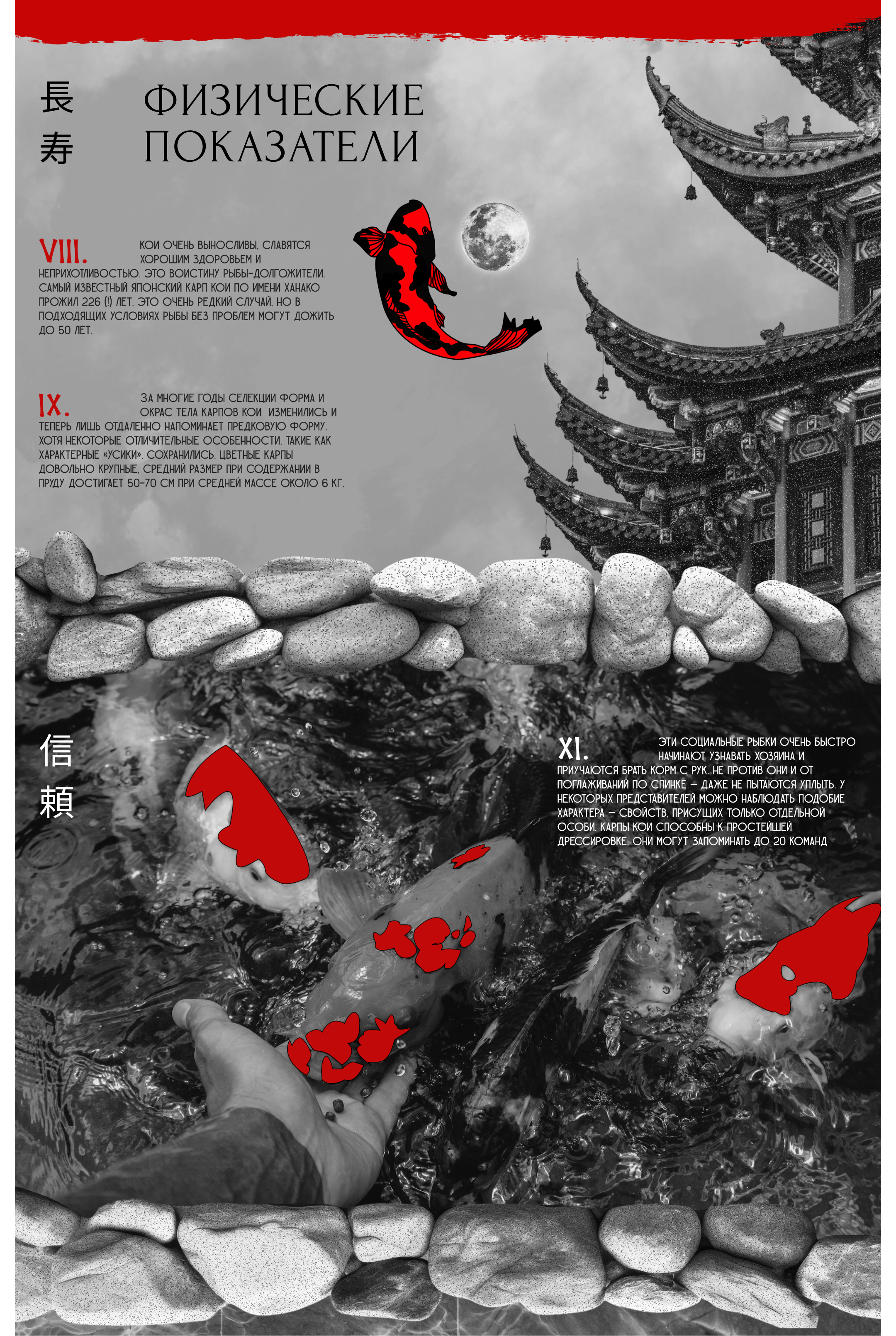Longread: Koi Carps. Mystical and Real — Изображение №6 — Интерфейсы, Иллюстрация на Dprofile