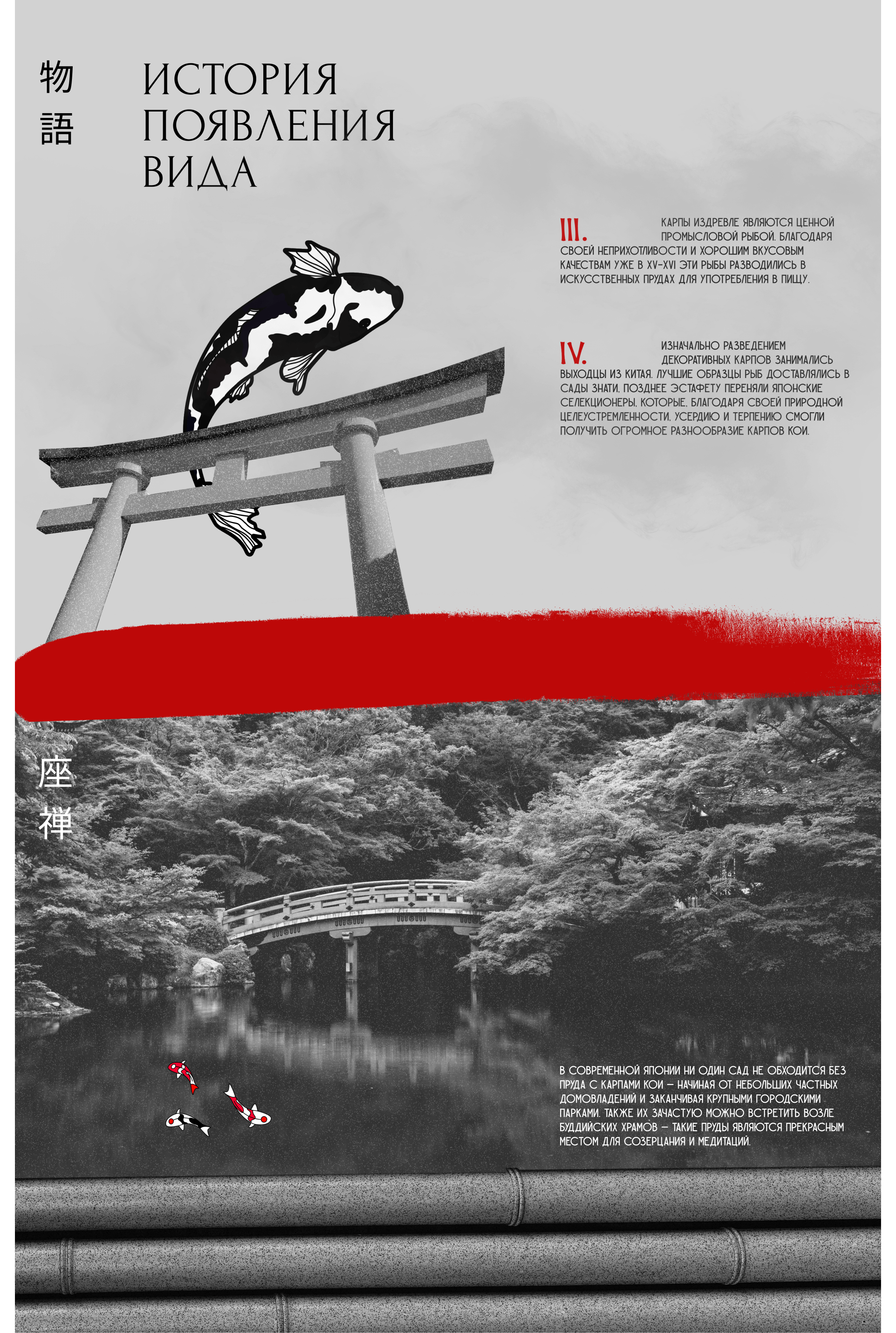 Longread: Koi Carps. Mystical and Real — Изображение №4 — Интерфейсы, Иллюстрация на Dprofile
