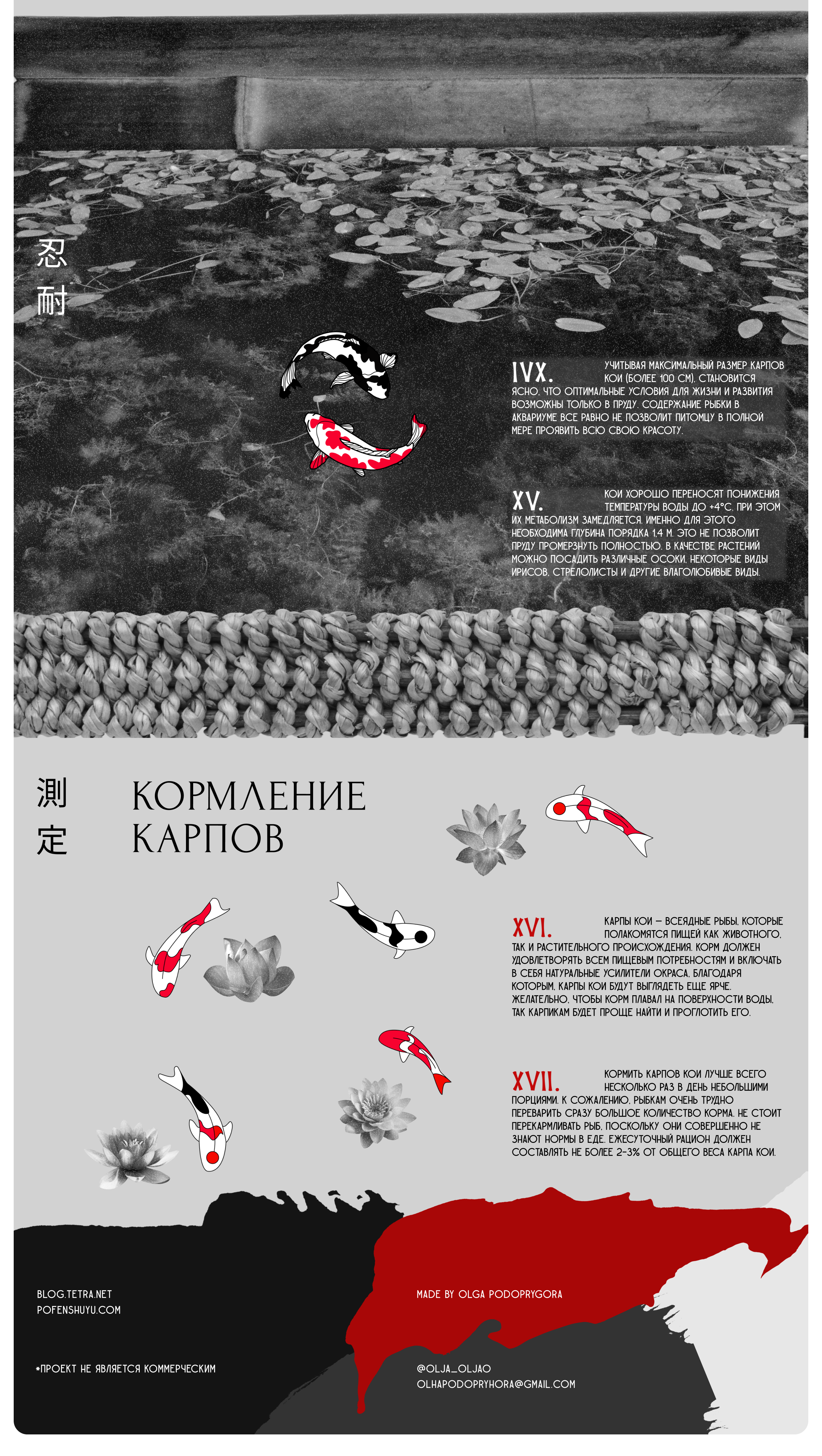 Longread: Koi Carps. Mystical and Real — Изображение №8 — Интерфейсы, Иллюстрация на Dprofile