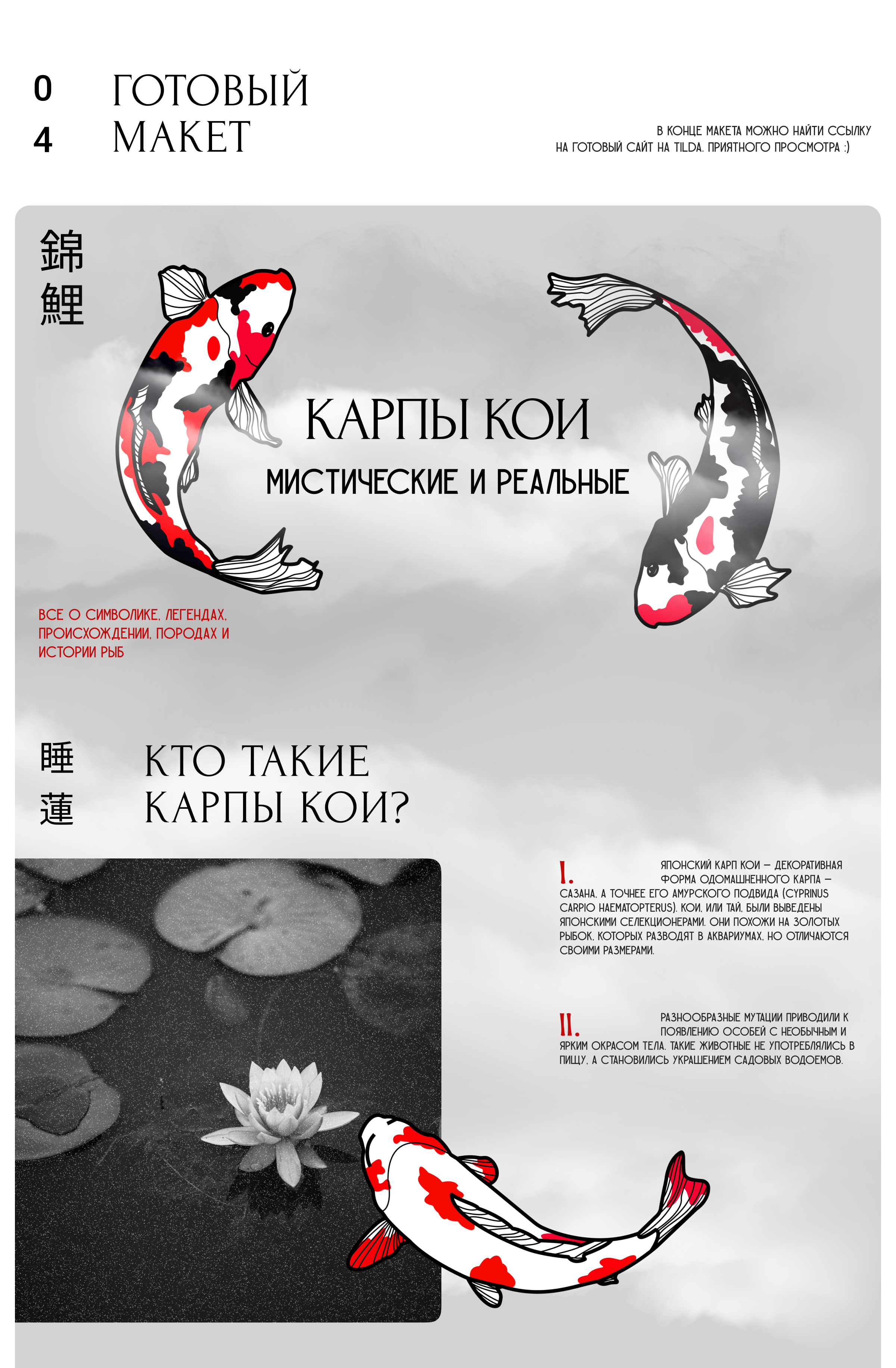 Longread: Koi Carps. Mystical and Real — Изображение №3 — Интерфейсы, Иллюстрация на Dprofile