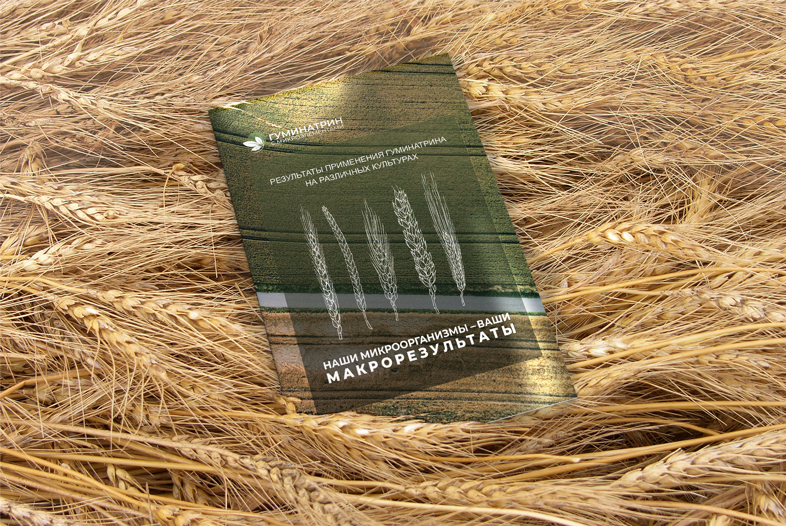 Верстка брошюры-отчета — Изображение №2 — Графика на Dprofile