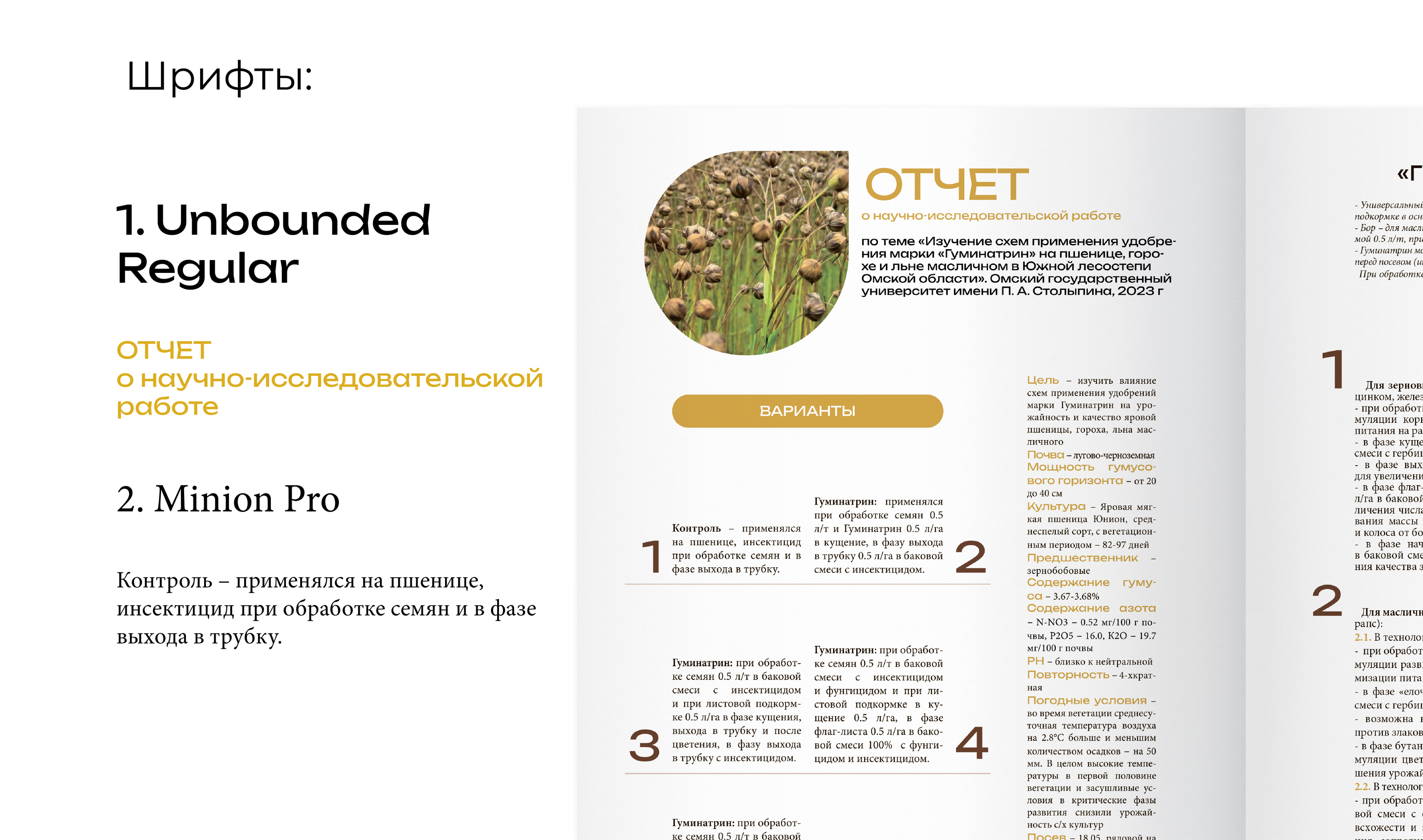 Верстка брошюры-отчета — Изображение №7 — Графика на Dprofile