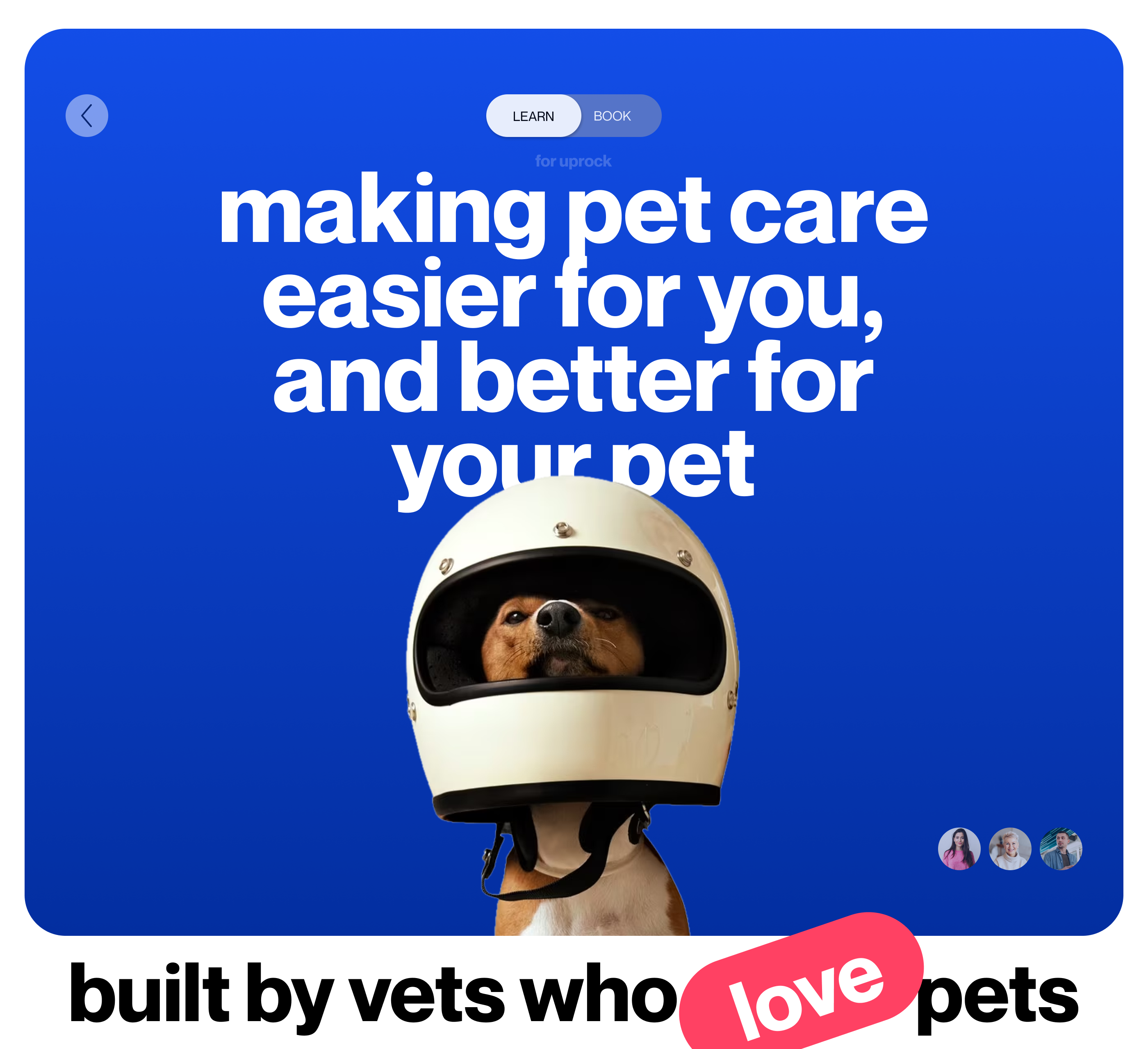 VET CLINIC | PETFOLK — Изображение №1 — Интерфейсы, Графика на Dprofile