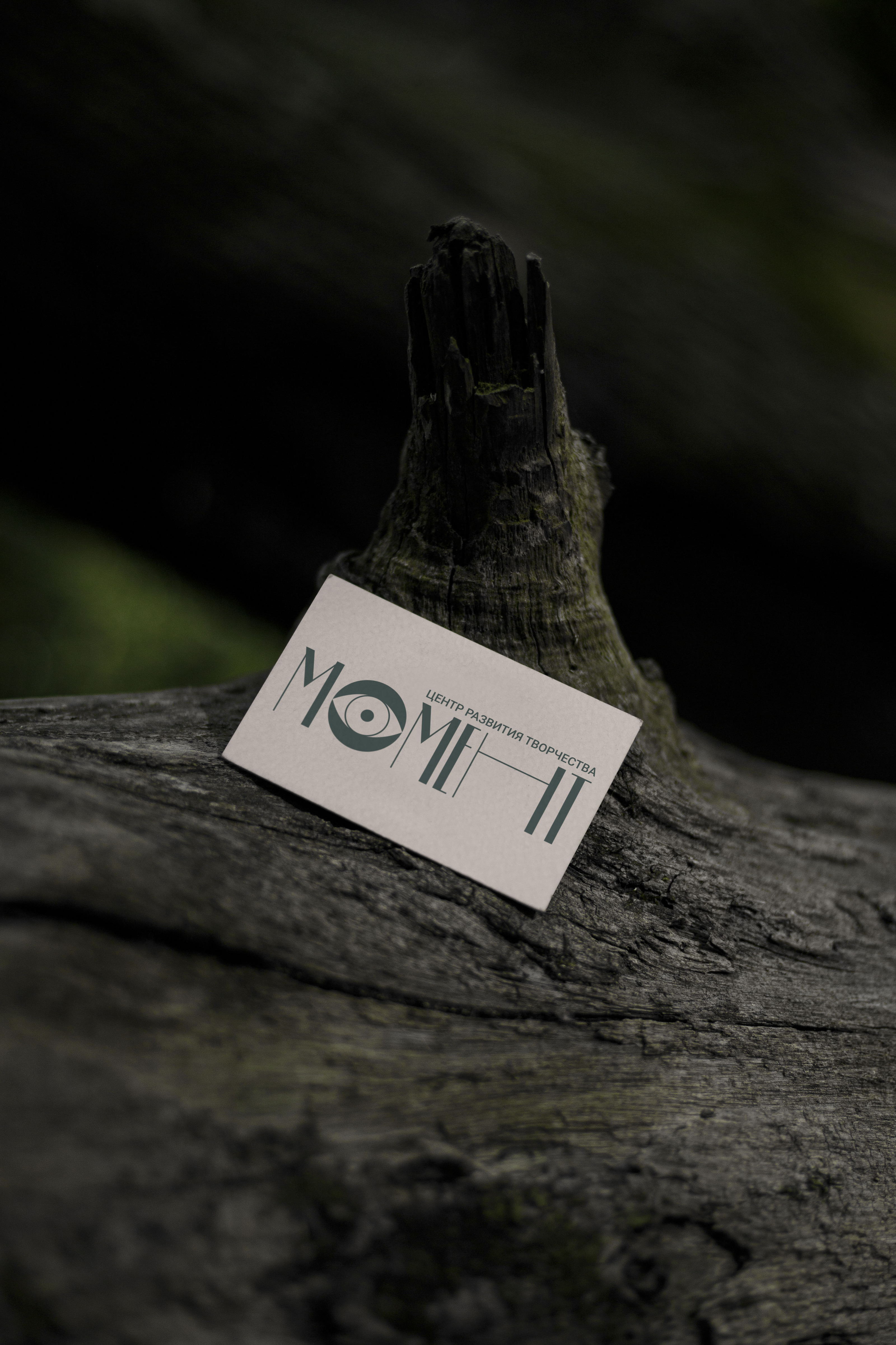 Логотип для театральной студии Момент — Изображение №14 — Брендинг на Dprofile