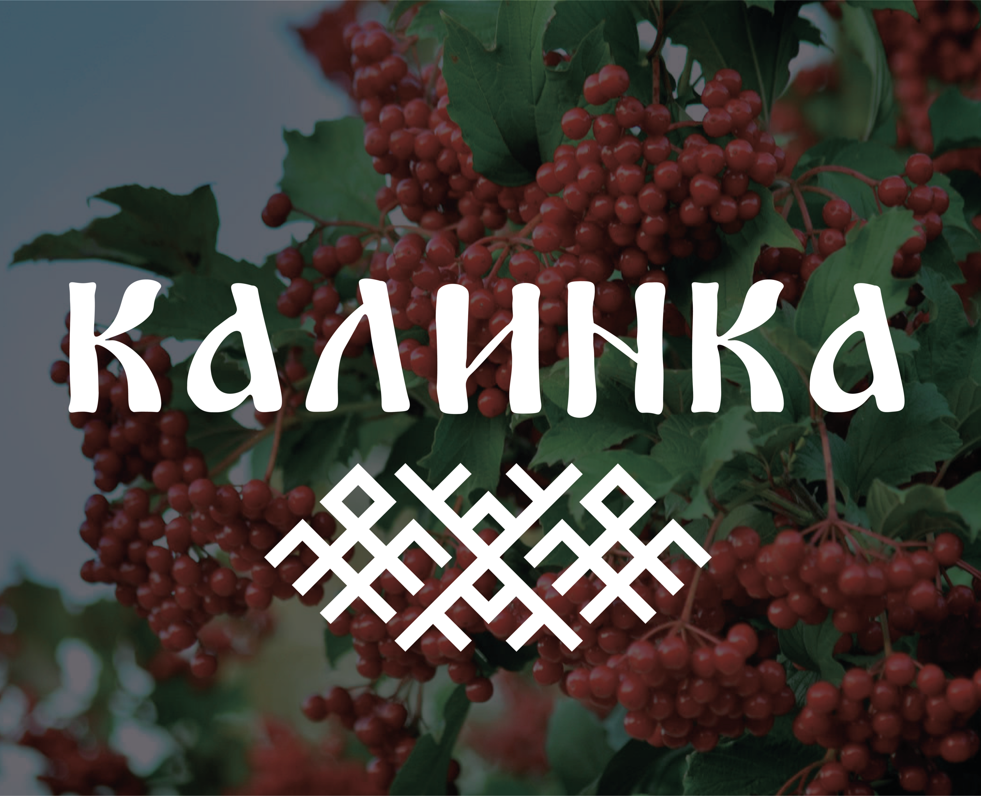 Шрифт КАЛИНКА на Dprofile